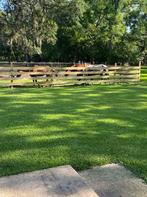 Fencing  for Divine Construction Services in Brazoria County, TX