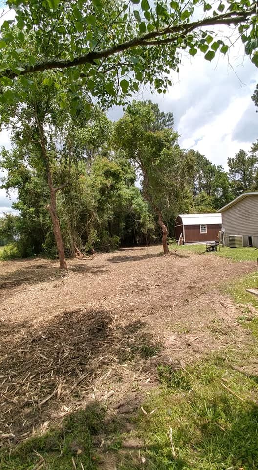 All Photos for Big Thicket Land Clearing in Kountze, TX