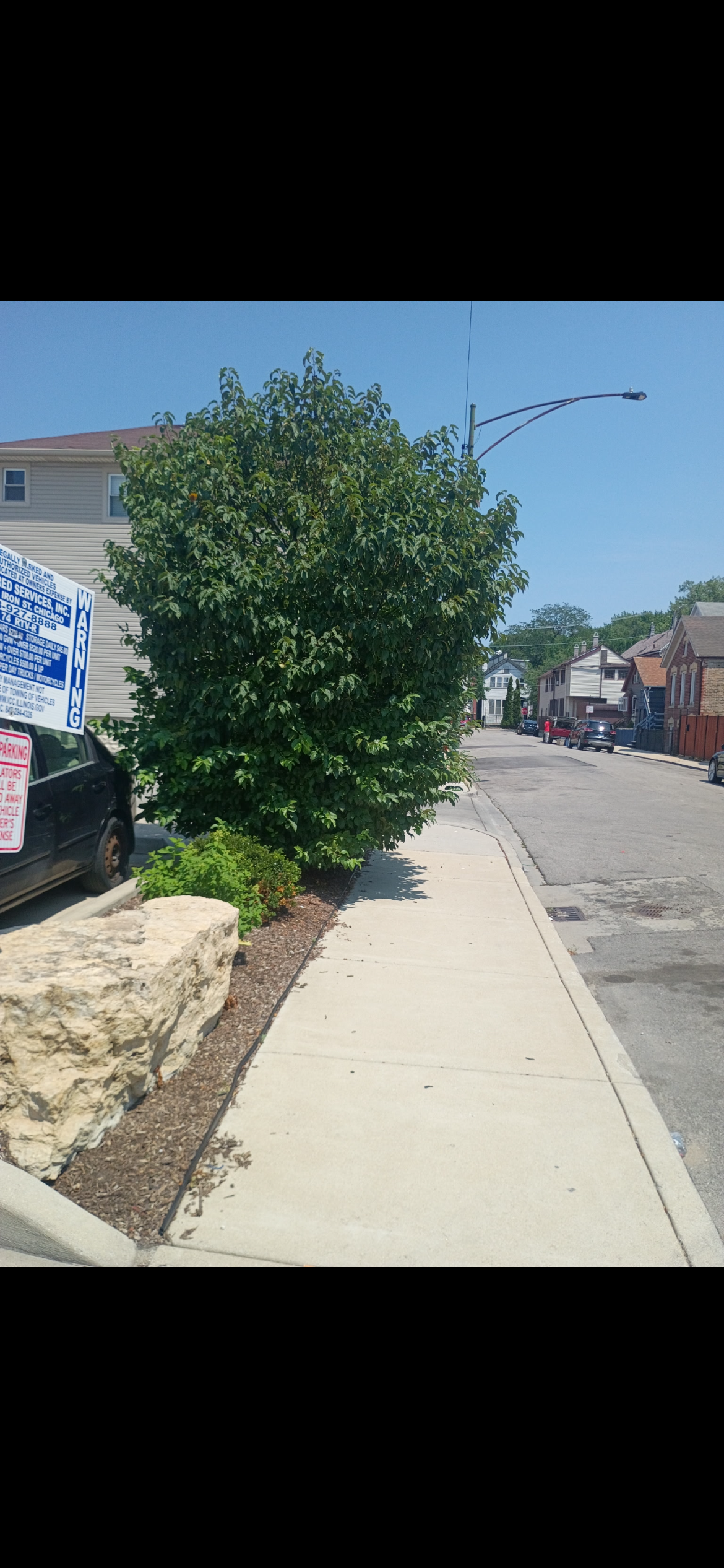  for Superior Lawn Care & Snow Removal LLC  in Chicago, IL