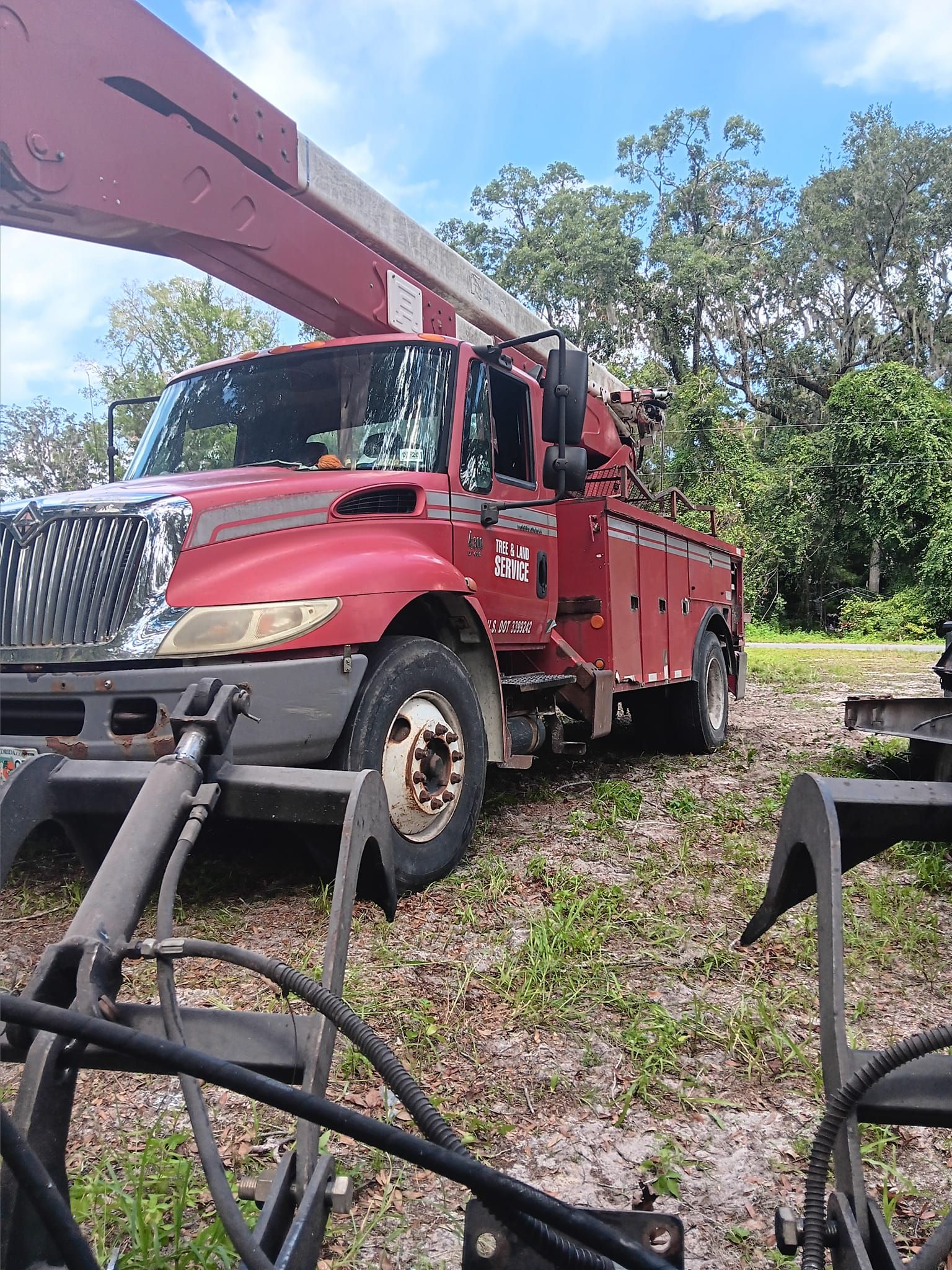 Tree Removal for Asbell's Tree & Land Services in Gilchrist County, FL