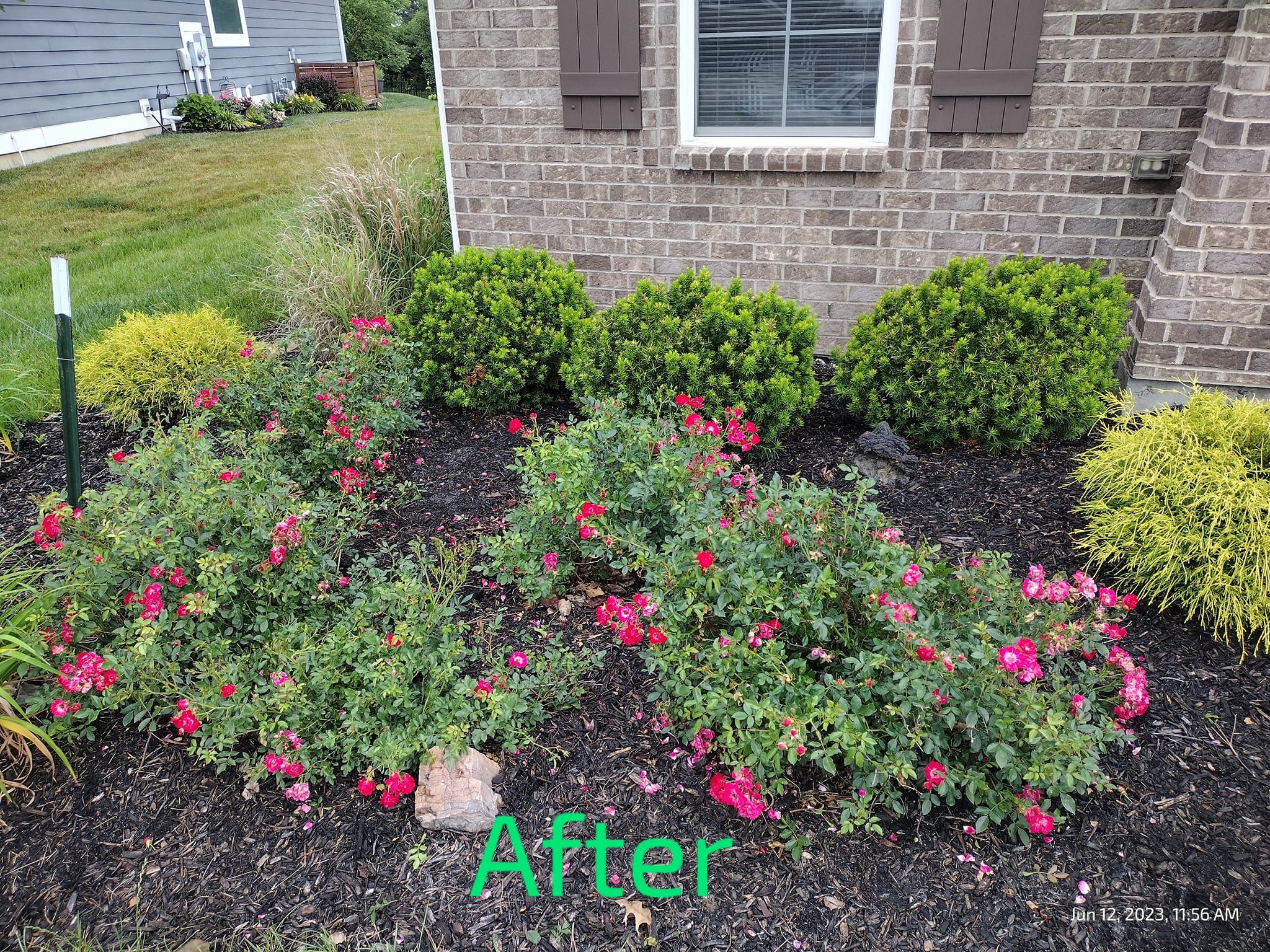 All Photos for Bearforce Lawn Care LLC in Greenfield, IN