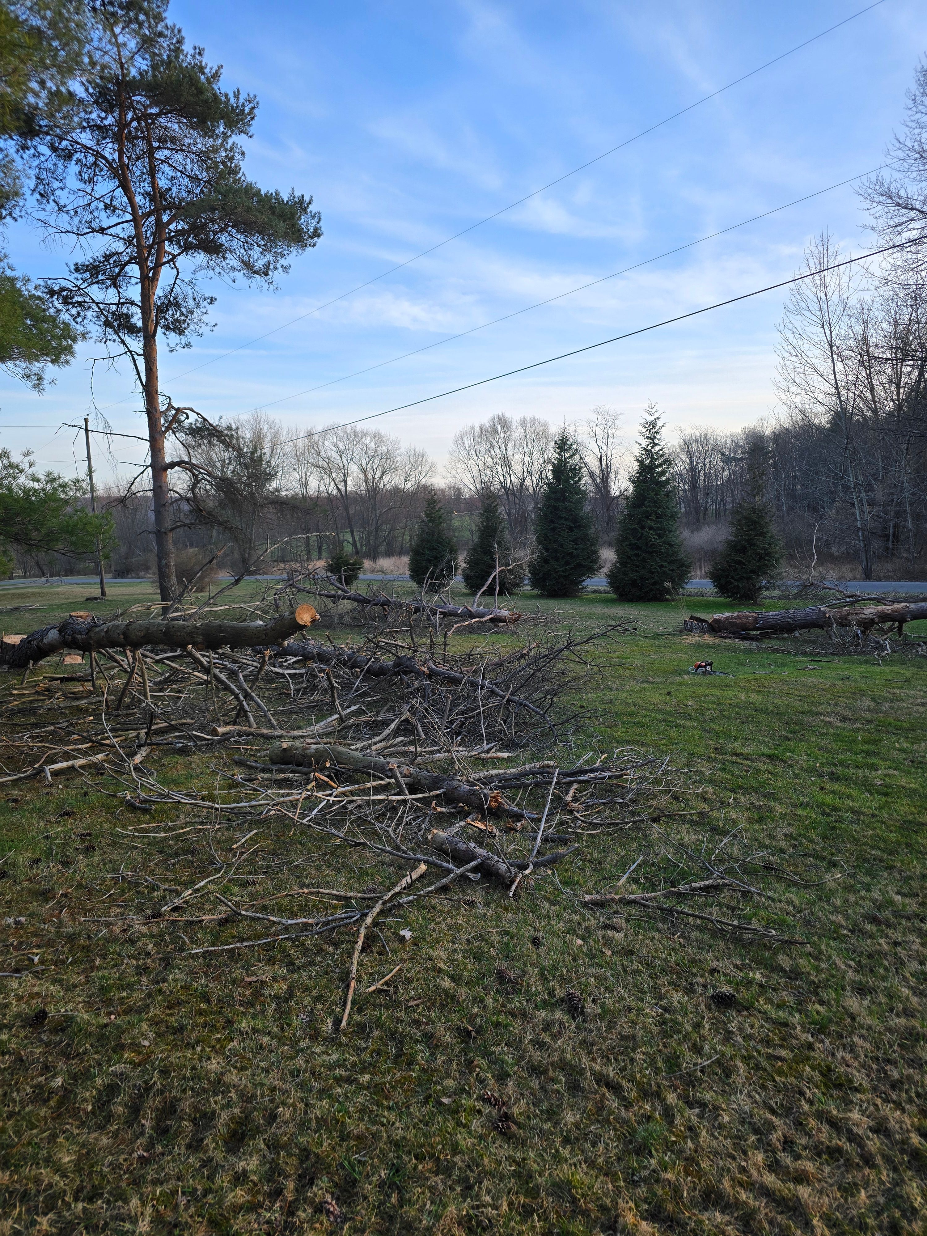  for Down Home Landscaping in Stillwater, PA