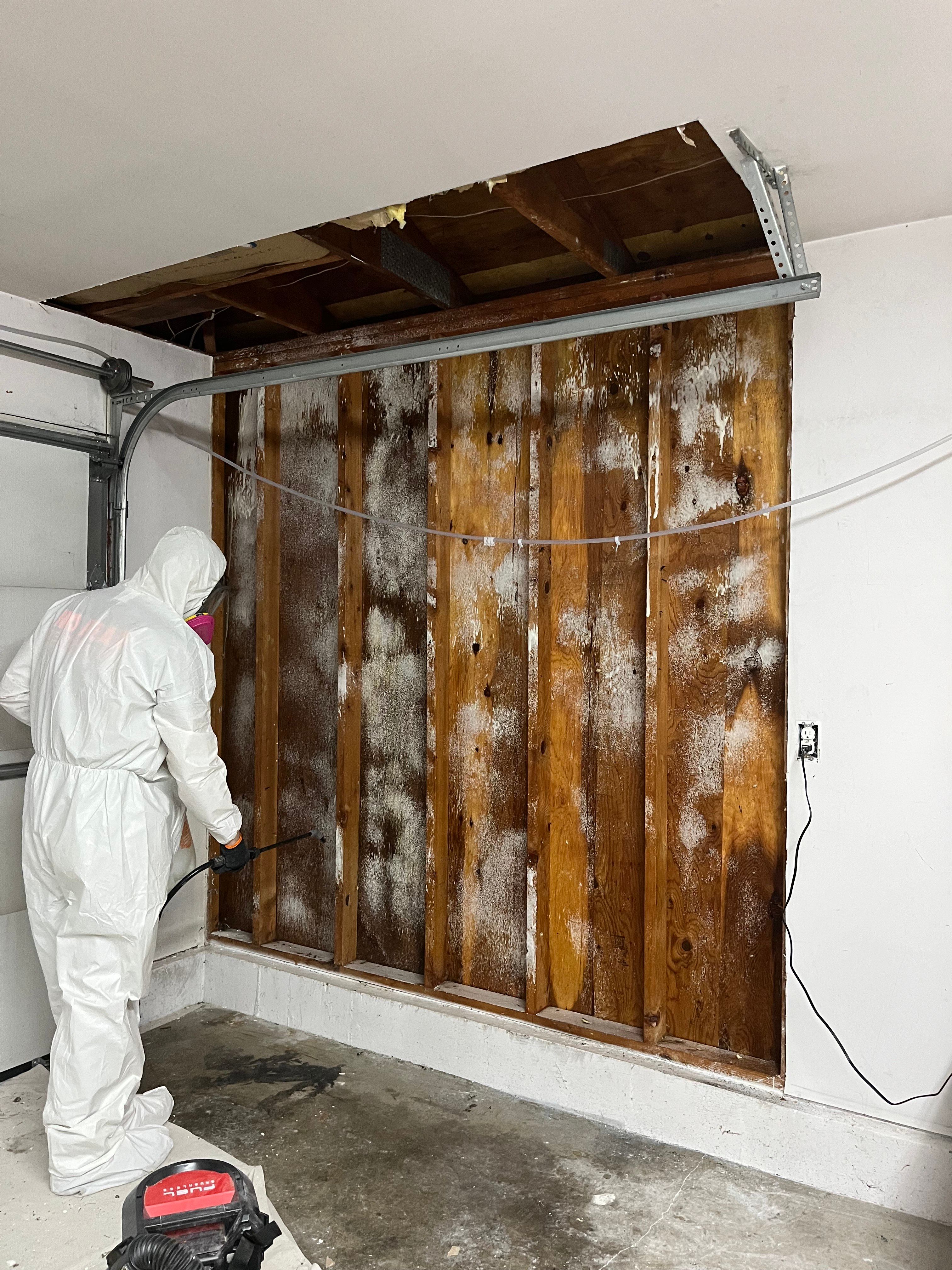 All Photos for No Fear Restoration in Port Angeles, WA