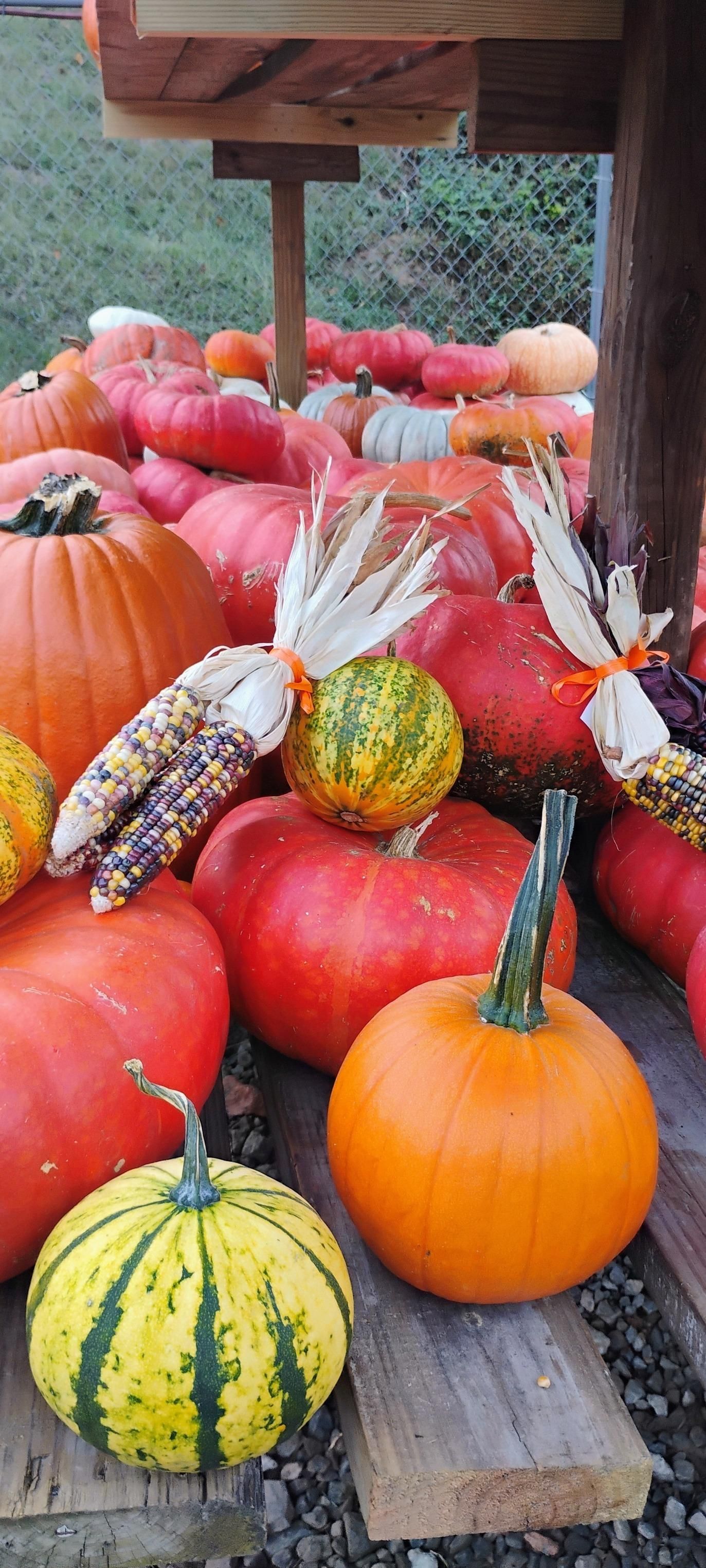  for Rutledge Contracting LLC in Hazel Green, AL