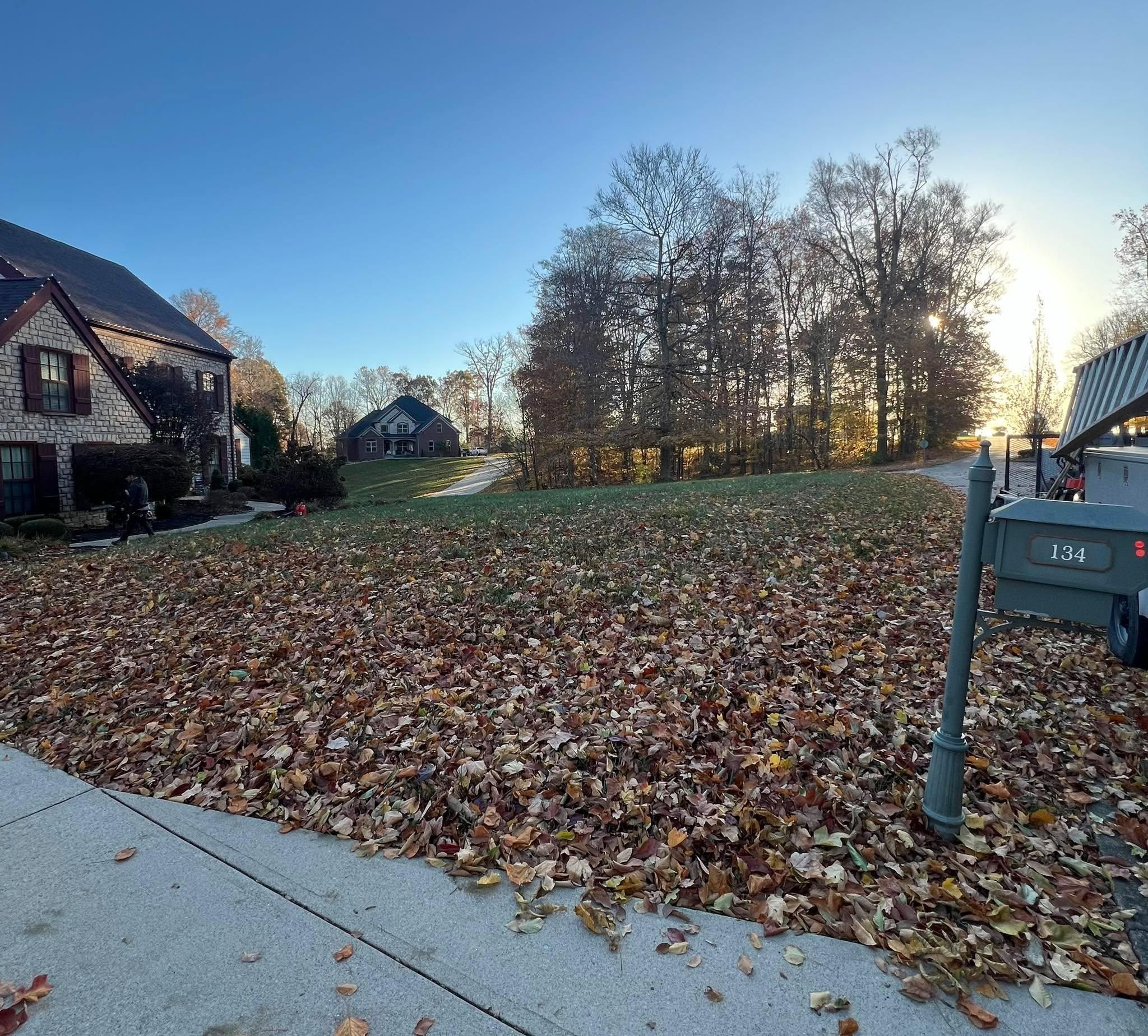  for Full Service Landscaping in Louisville, KY