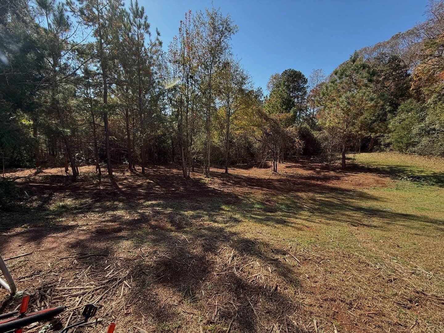  for T Crane Grading LLC in Clarkesville, GA