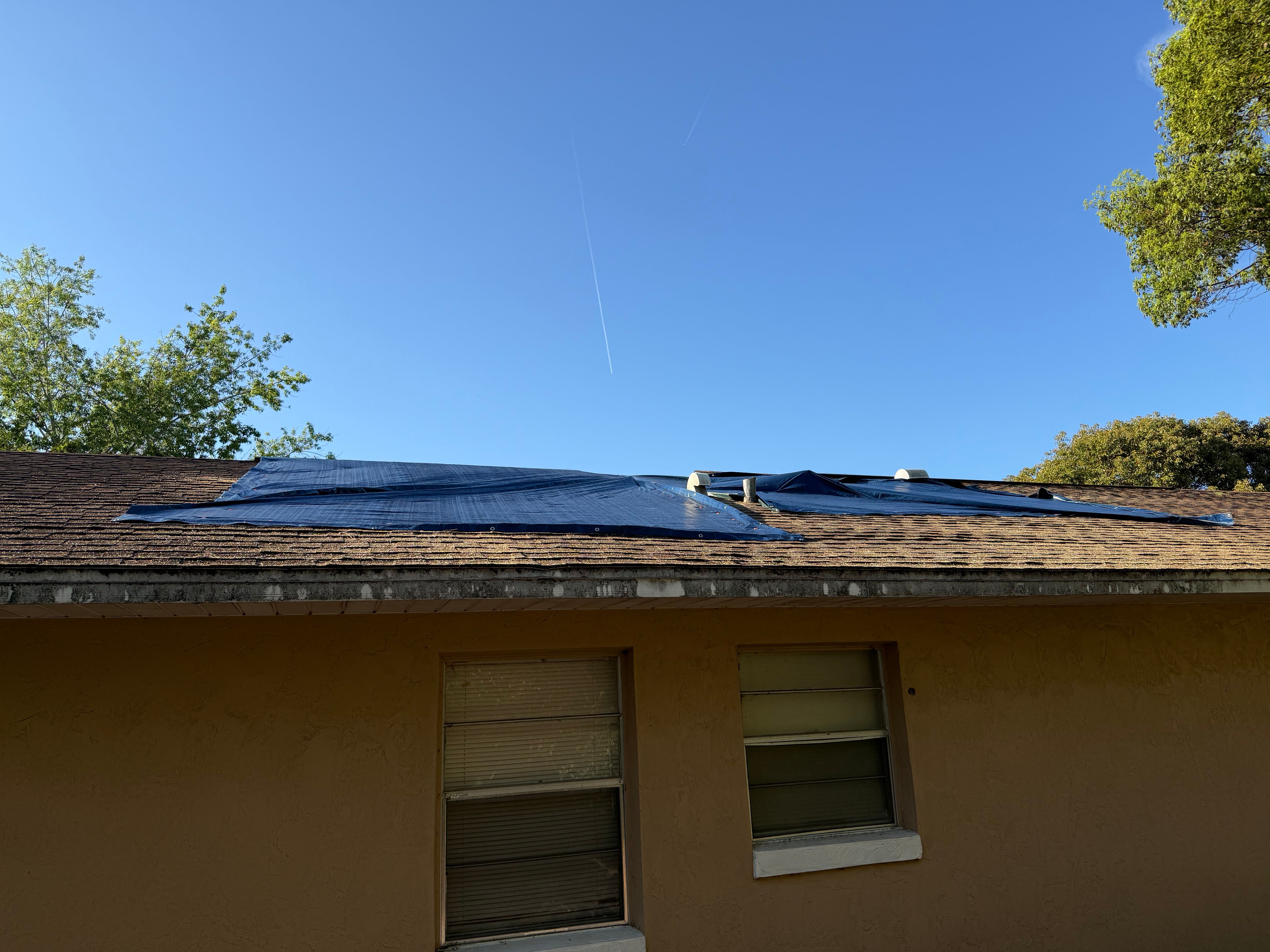  for Amerigrown Tree And Lawn in Apopka, FL