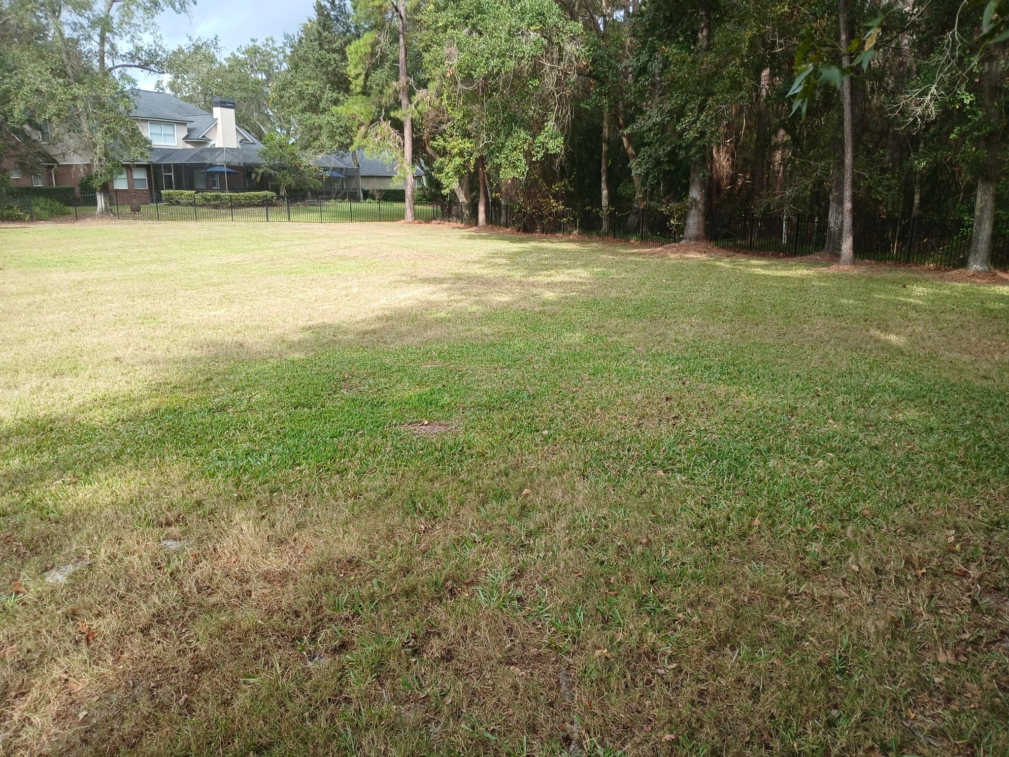  for Whole 9 Yards Services in Green Cove Springs, FL