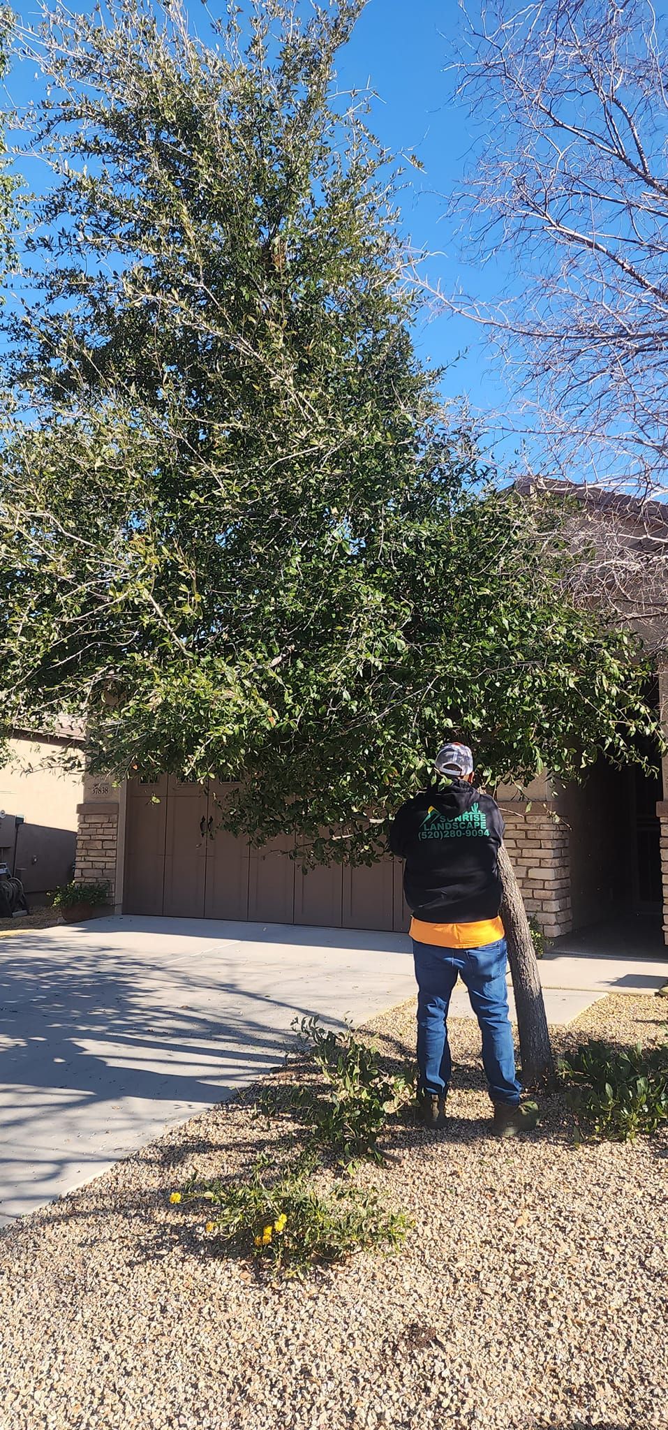  for Sunrise Landscape in Maricopa, AZ