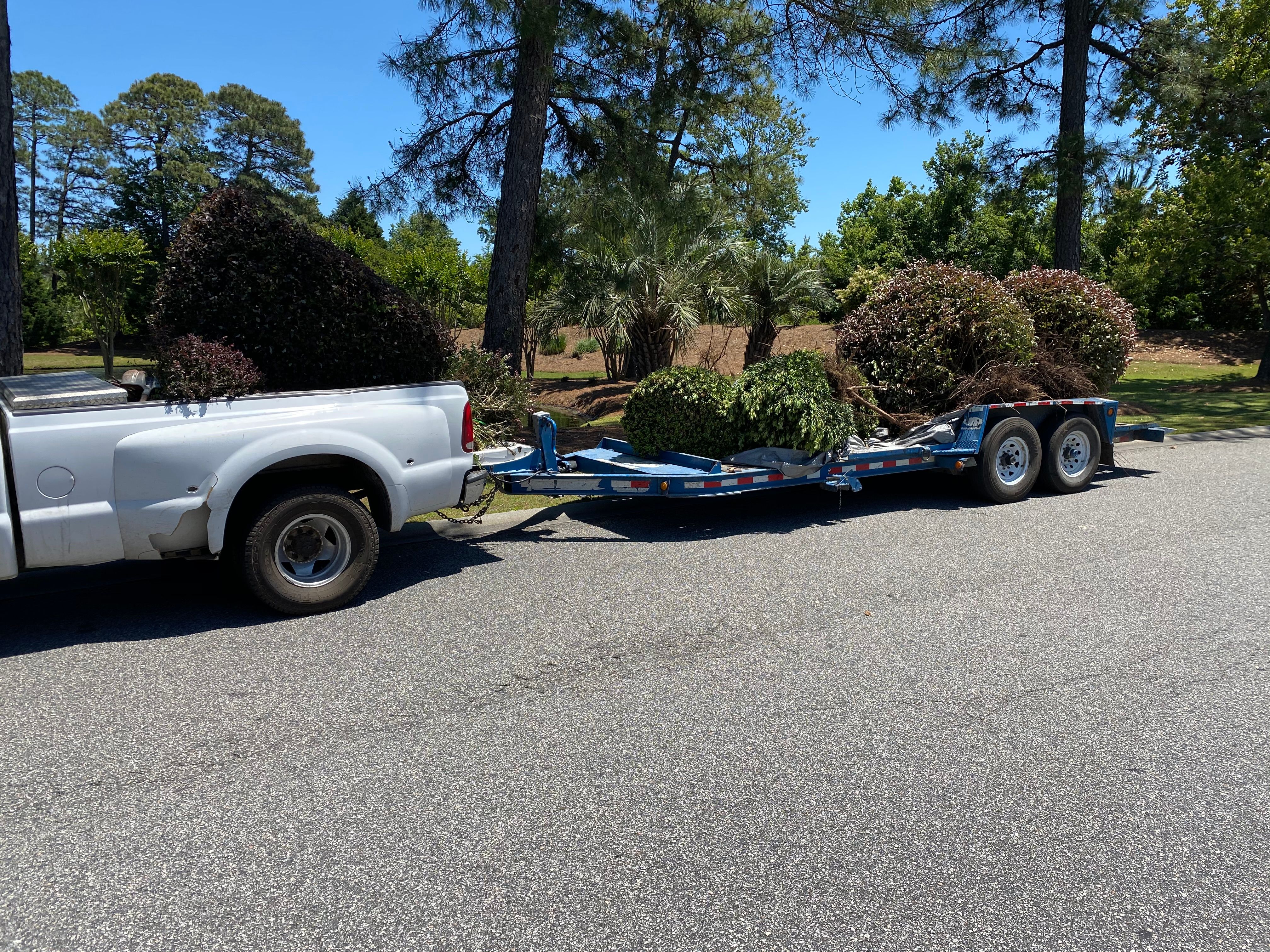  for New Creation Landscaping in Myrtle Beach, SC