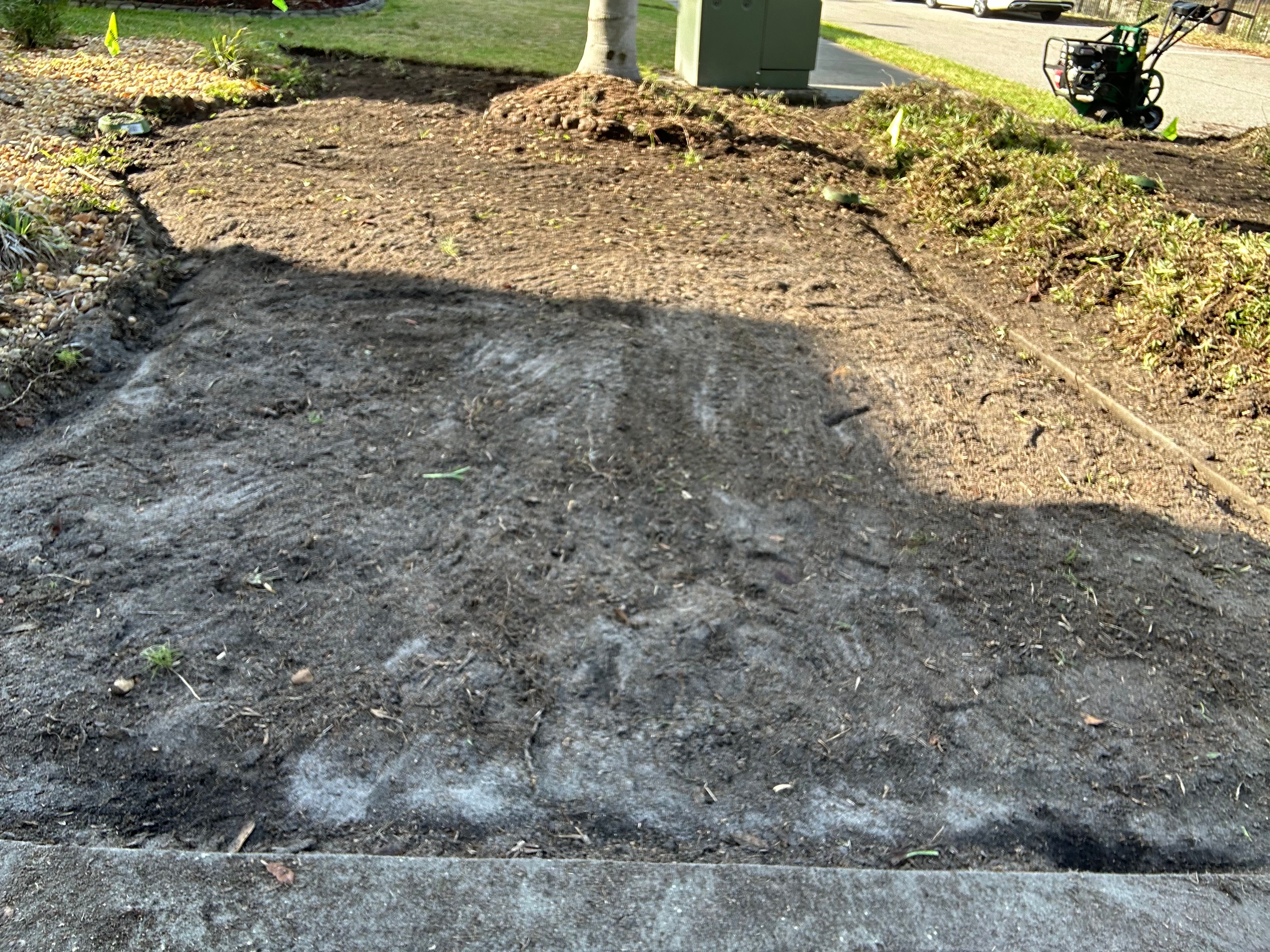 All Photos for Gulf Bay Sod in Clearwater, FL