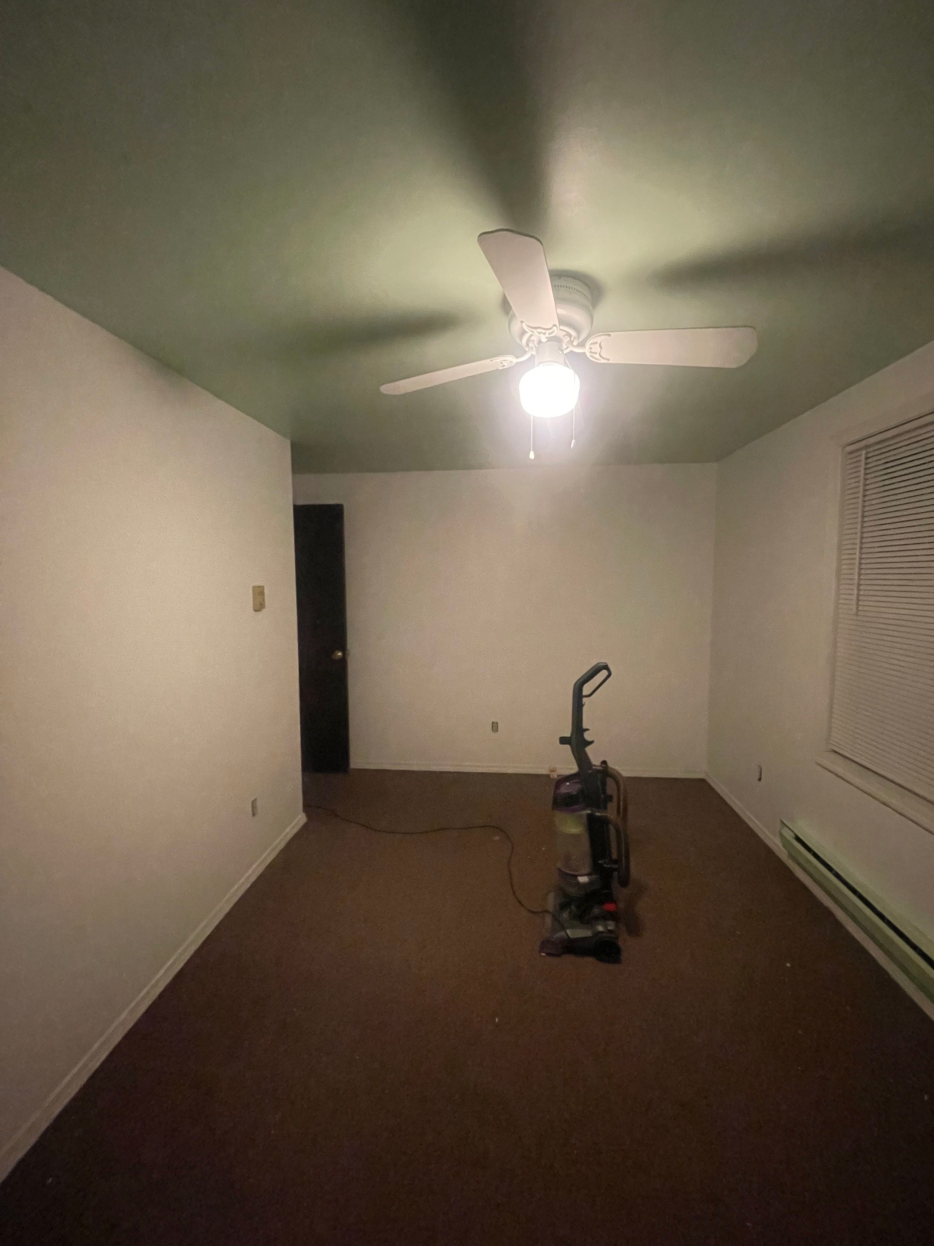  for Painless Painting And Drywall Repair LLC in Rochester, NY