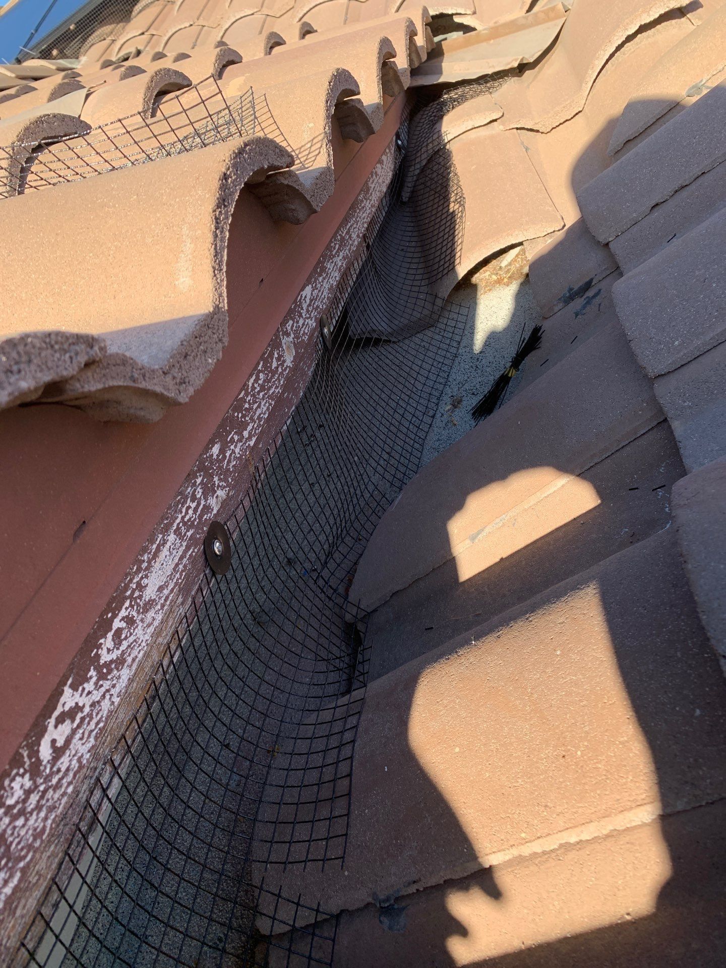  for Olson & Sons Contracting in Mesa, AZ