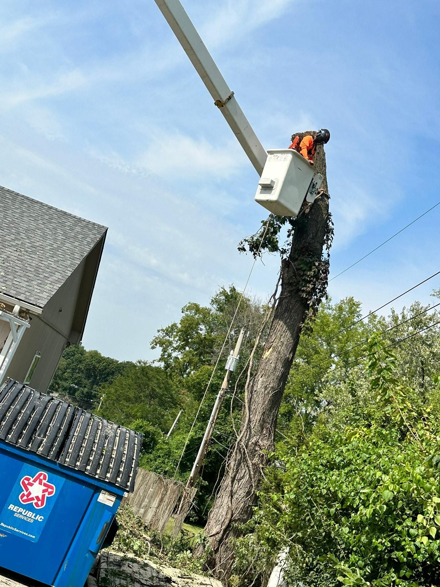 All Photos for Cross Family Tree Service in Kearney, MO