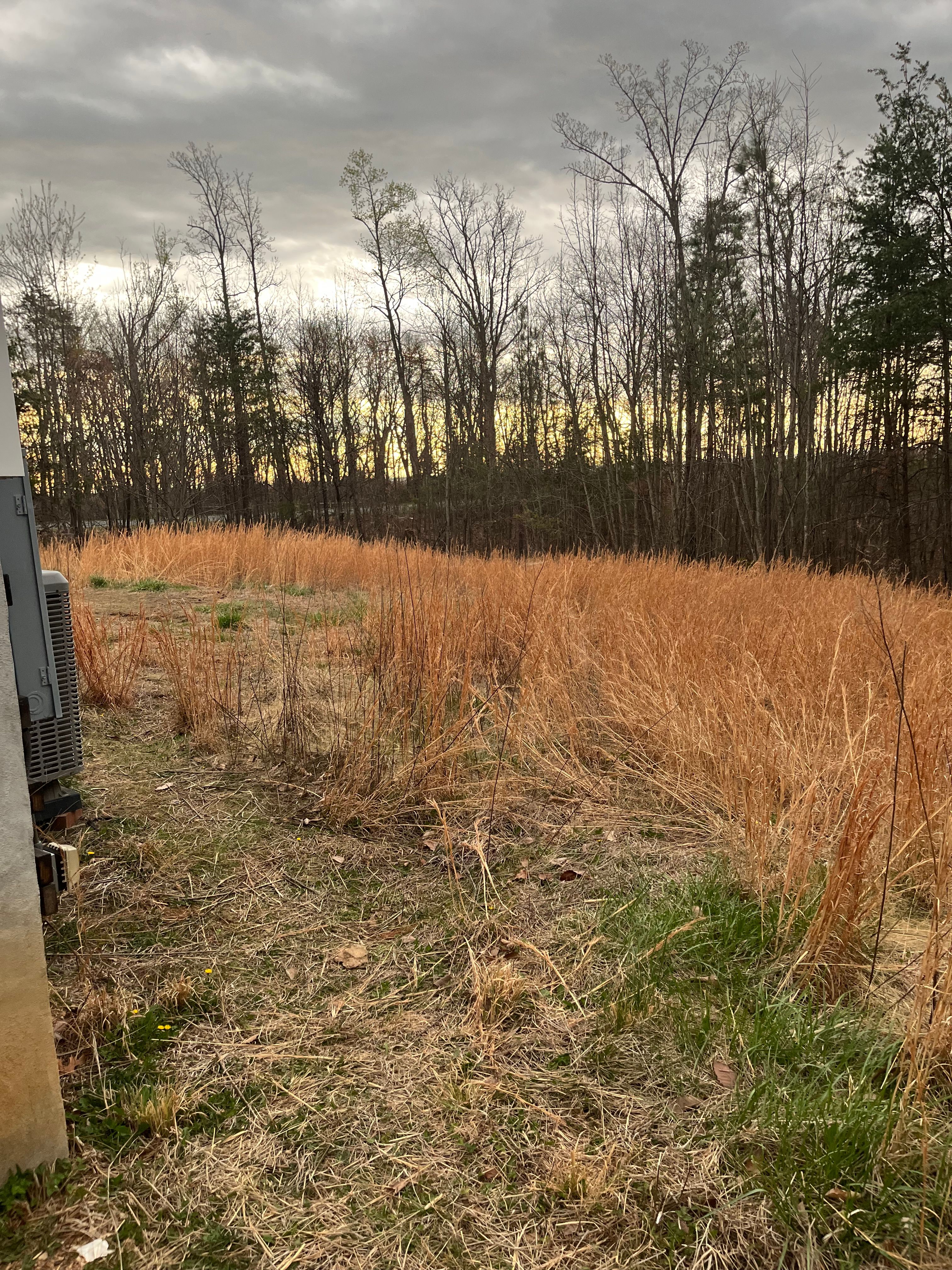  for Southside Land Management in Gretna, VA