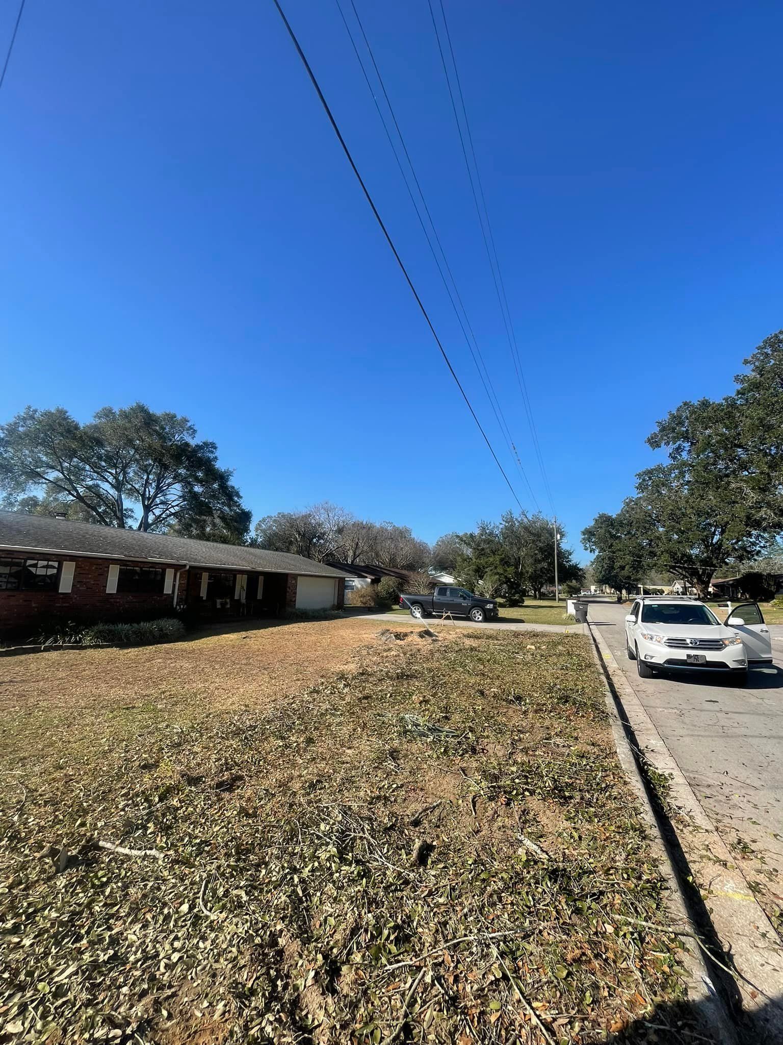  for Mr Timber in Ocala, FL