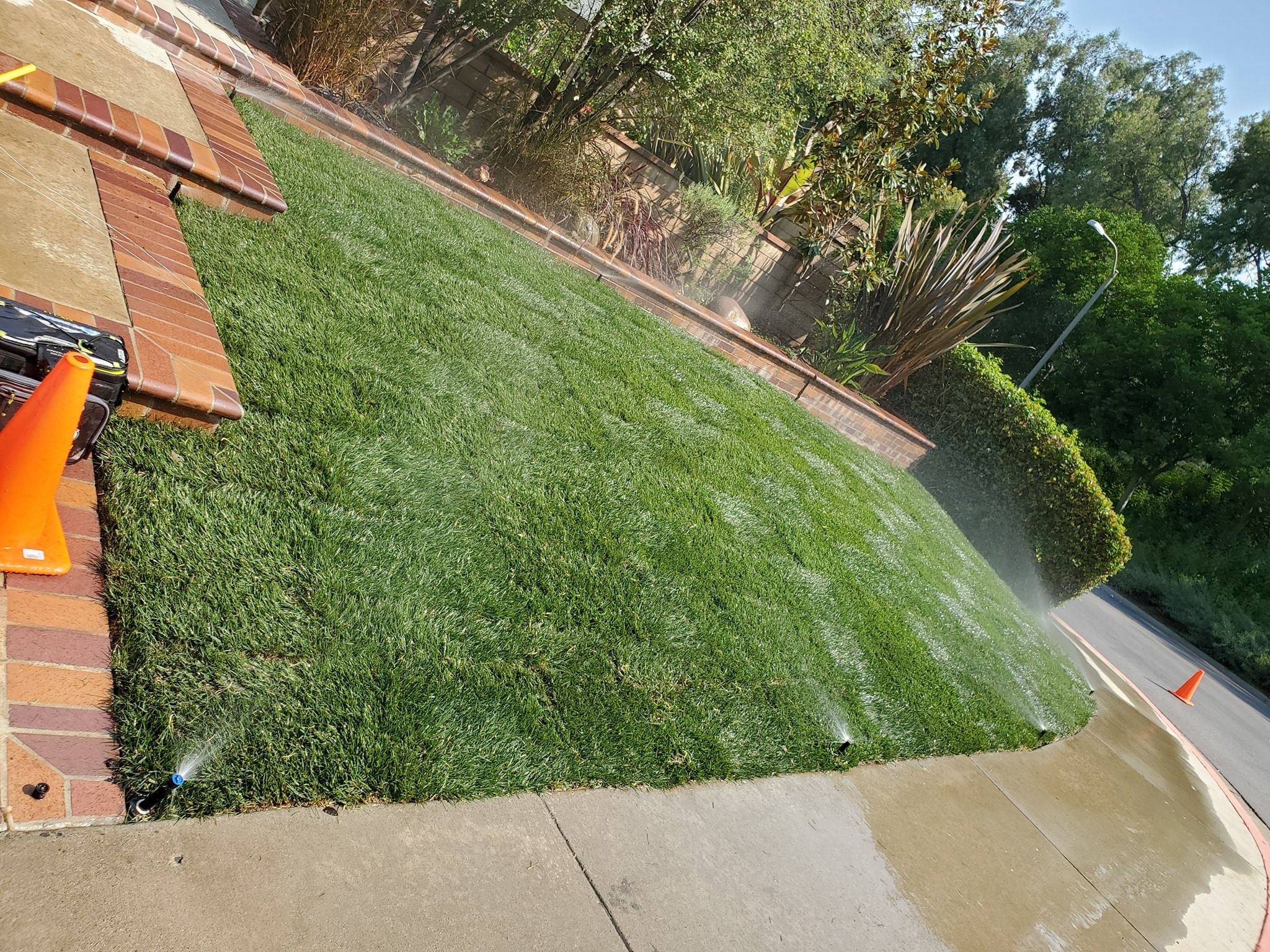  for Benito's Gardening in San Juan Capistrano, CA