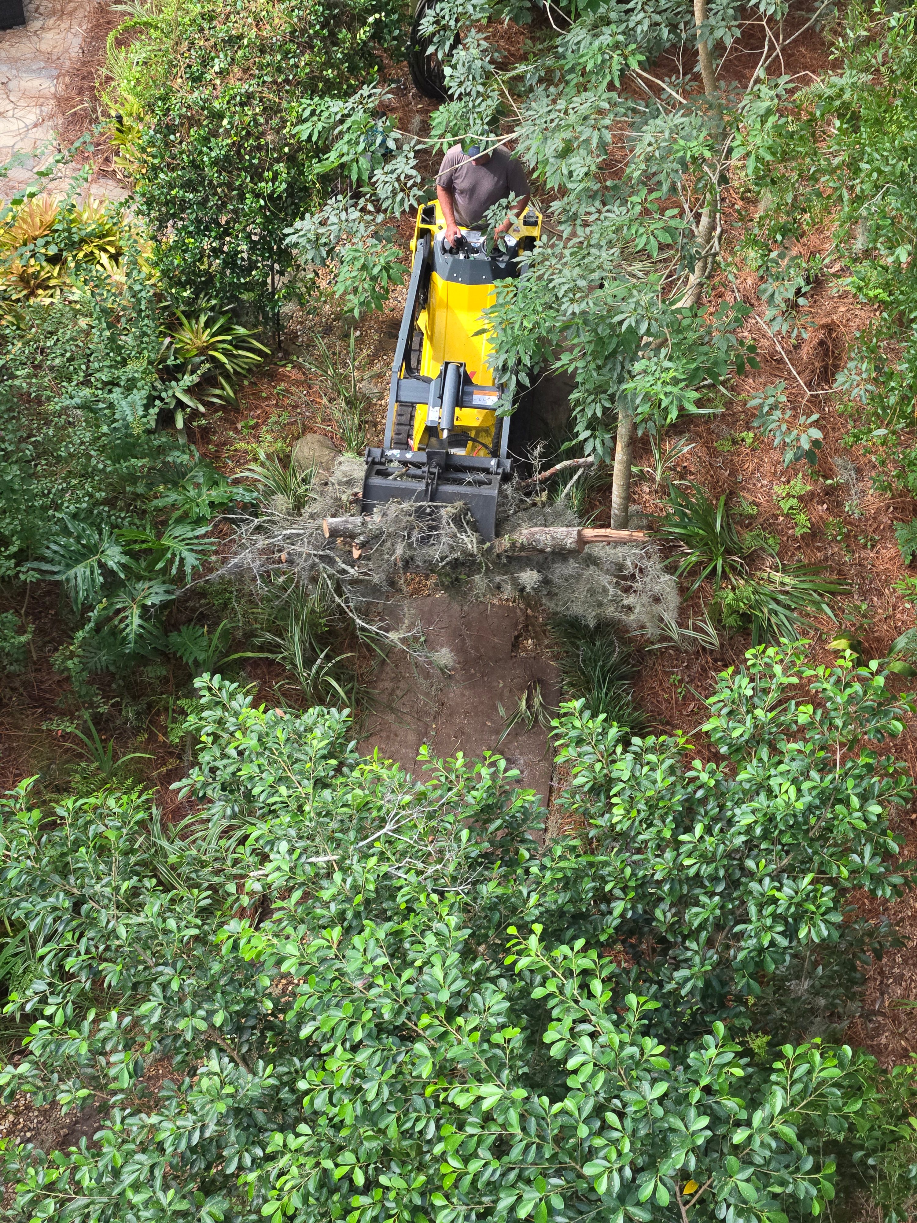 All Photos for Near Me Tree Service, Inc. in DeLand, FL