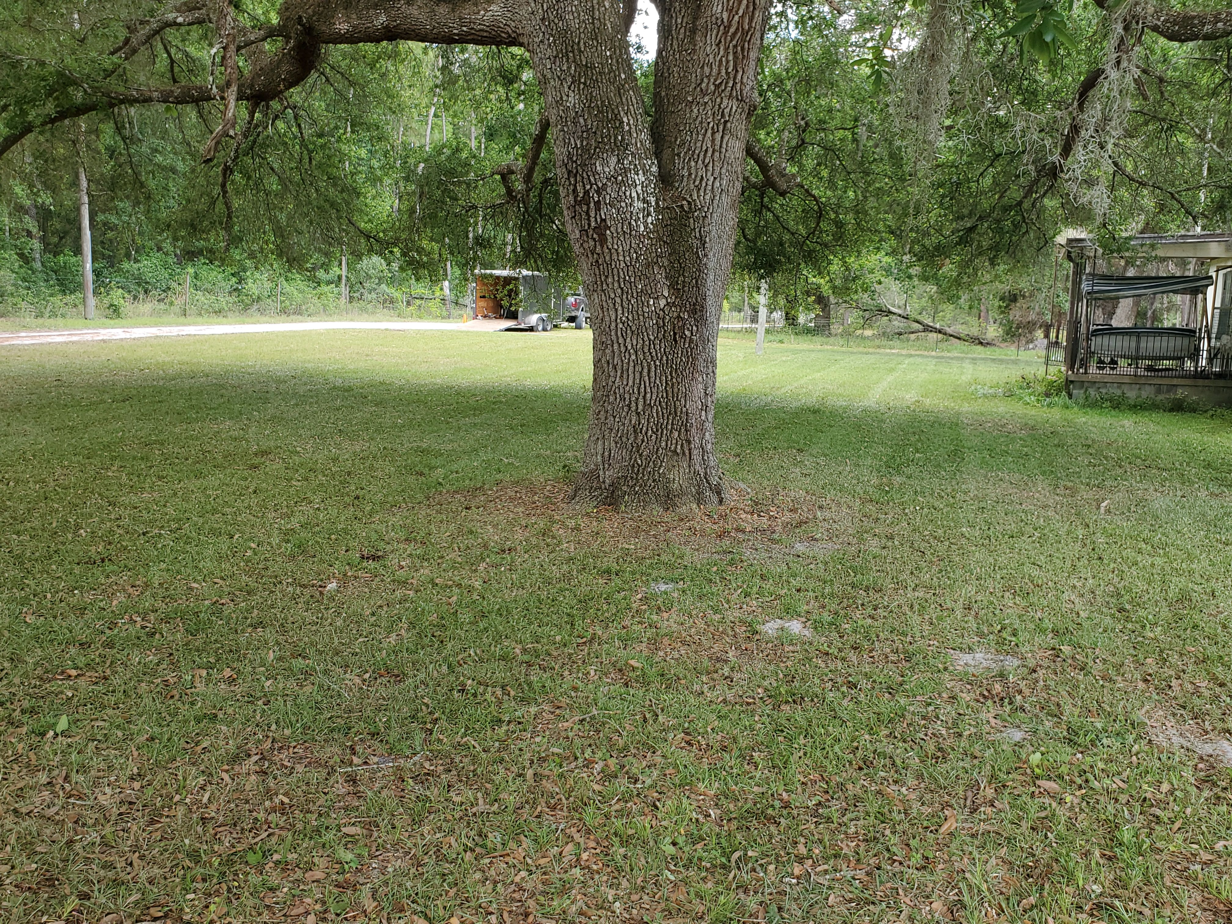  for Village Lawn Services LLC in Lake Panasoffkee, FL