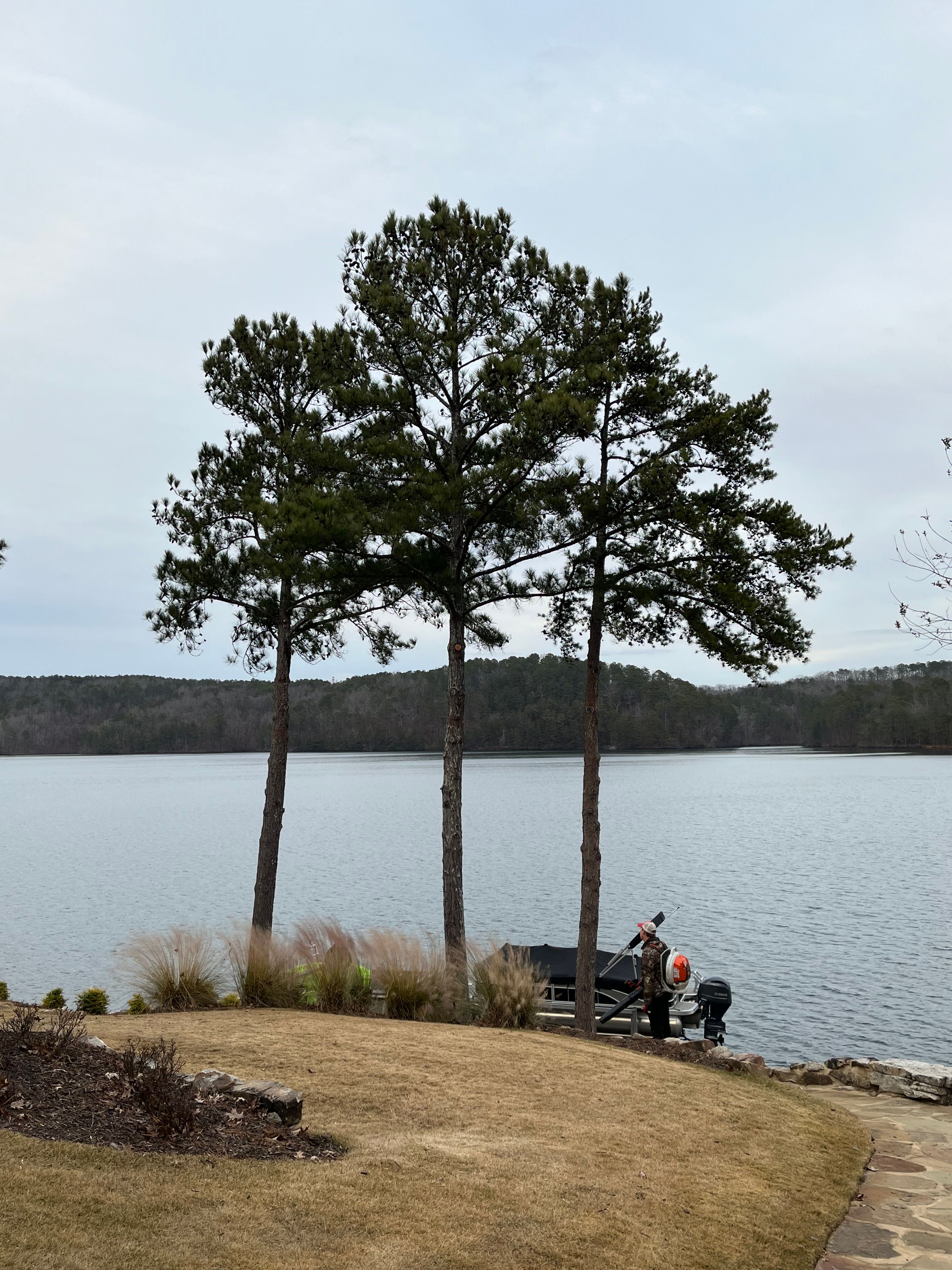 Pruning  for Pinedown LLC in Cherokee County, GA