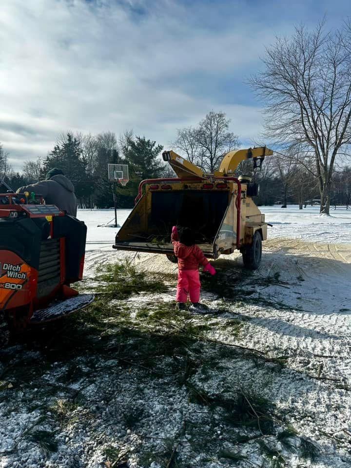  for Anstaetts Tree Service in Batavia, OH