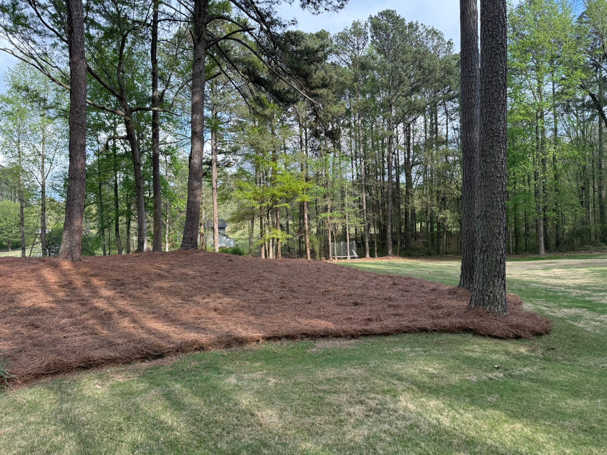  for Tri-P Services in Athens, GA