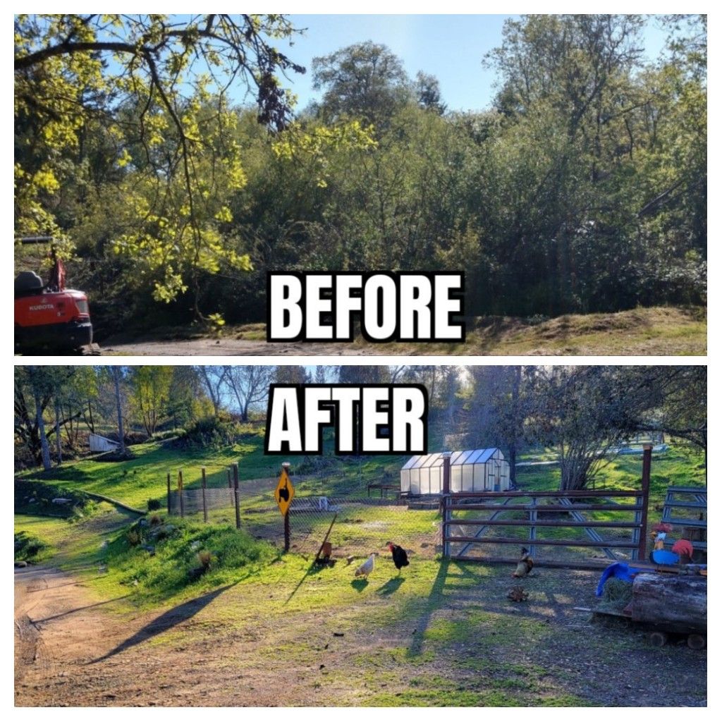  for Ren Levine Construction in Sonoma County, CA