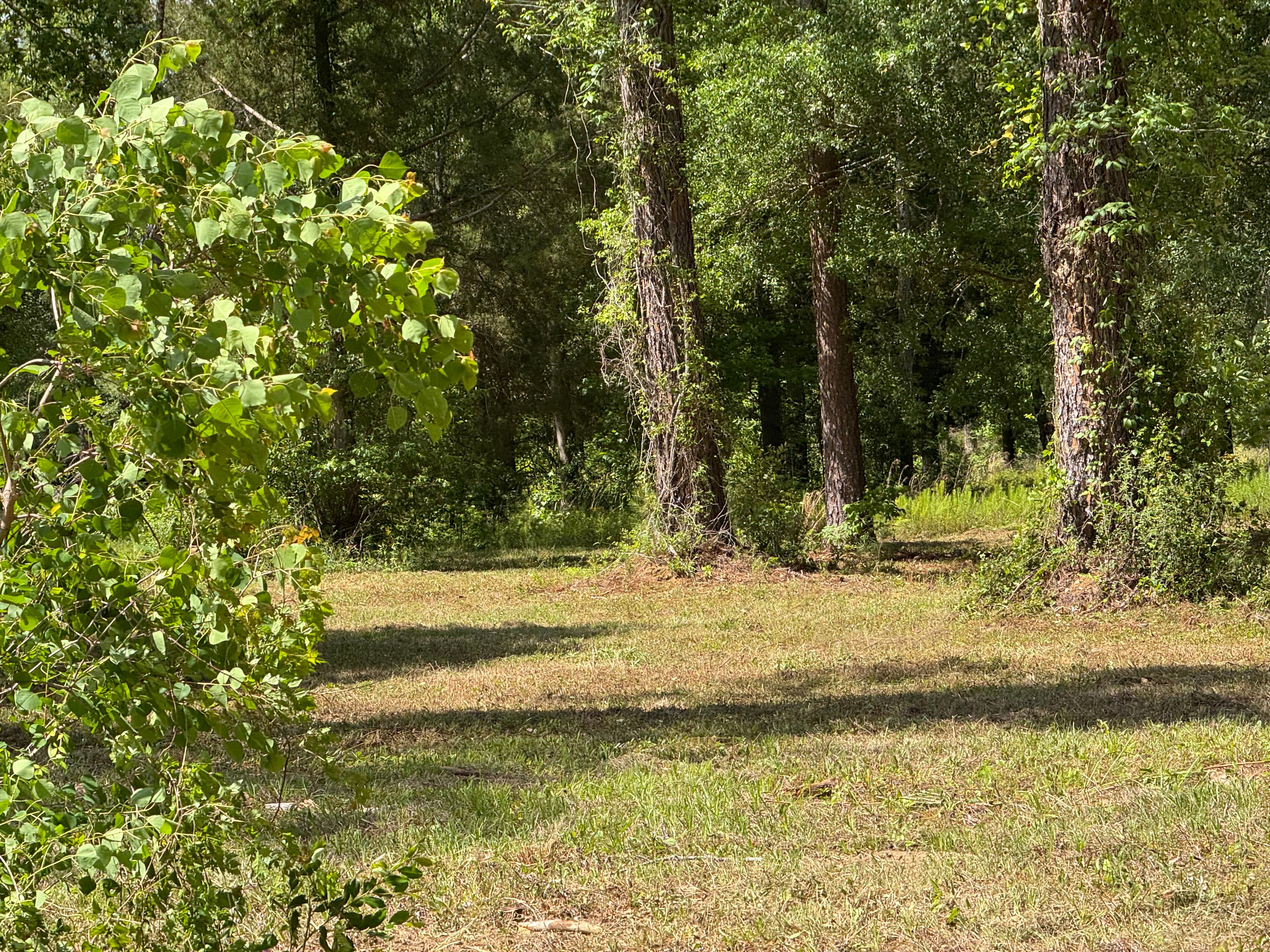 All Photos for Camalett Services in Perry, GA