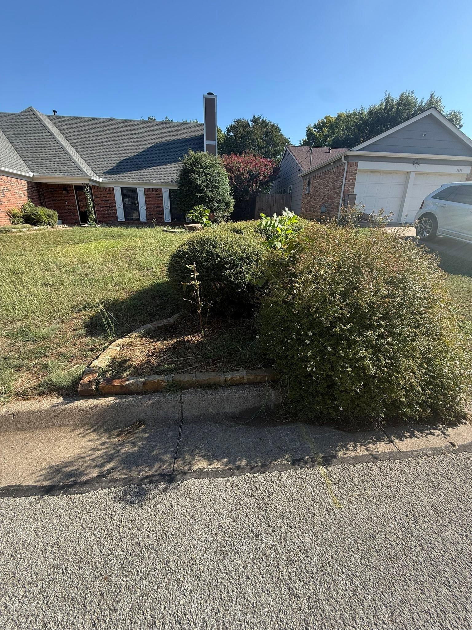 All Photos for Blu-J Tree Care in Arlington, TX