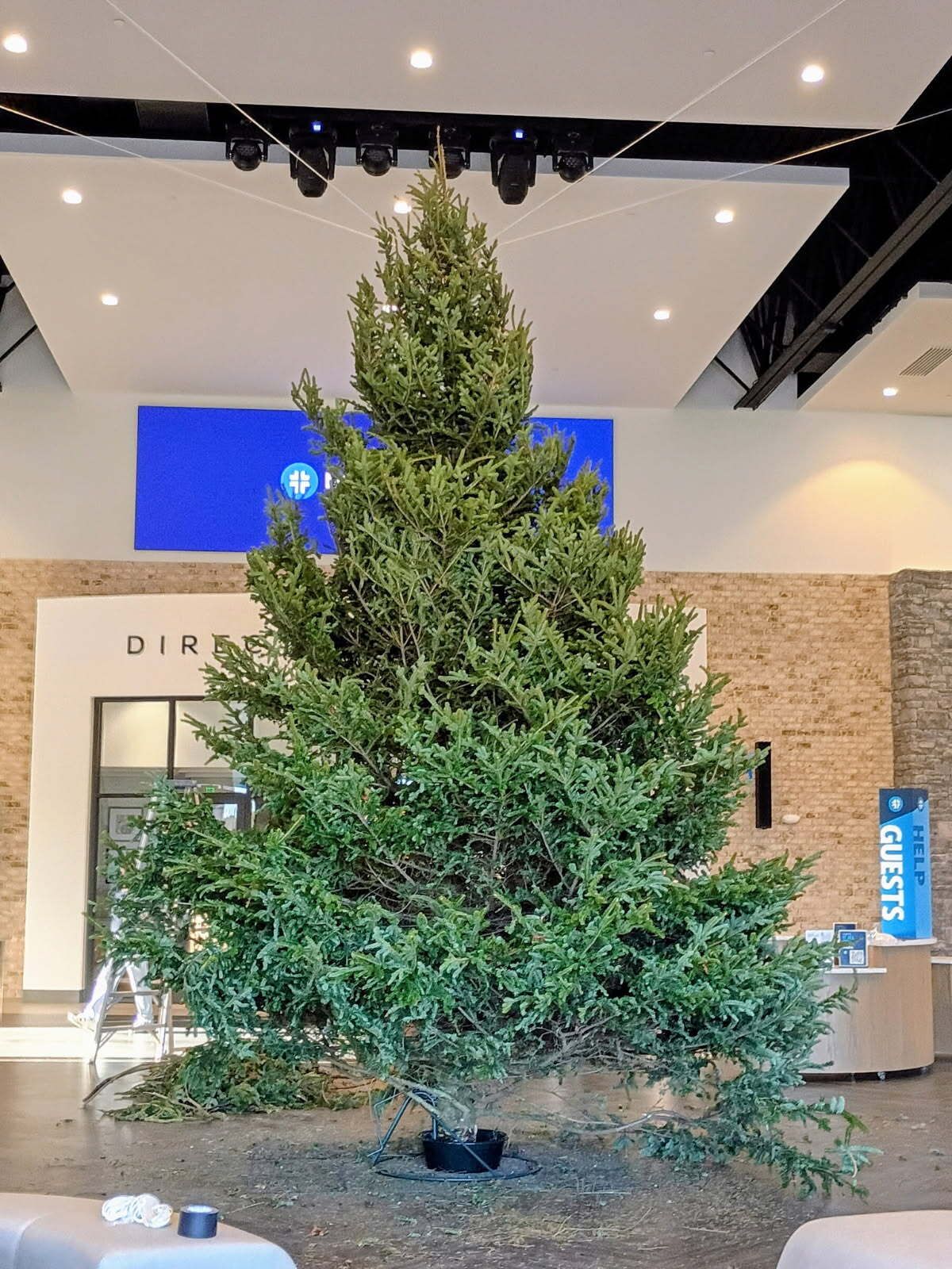 All Photos for BAM Another Pinestraw Lot in Flowery Branch, GA