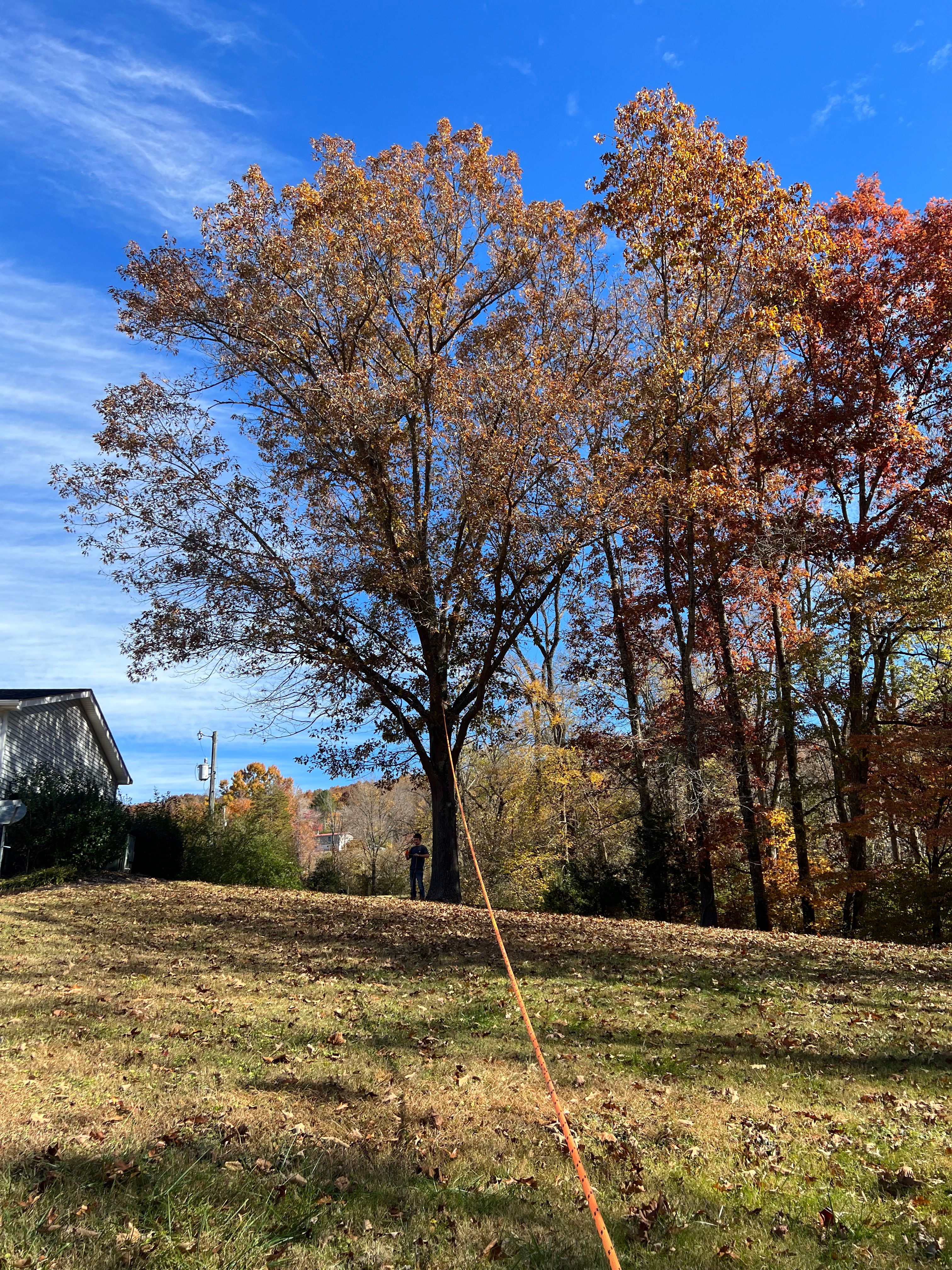 All Photos for F&CO Excavation in Clinton, TN