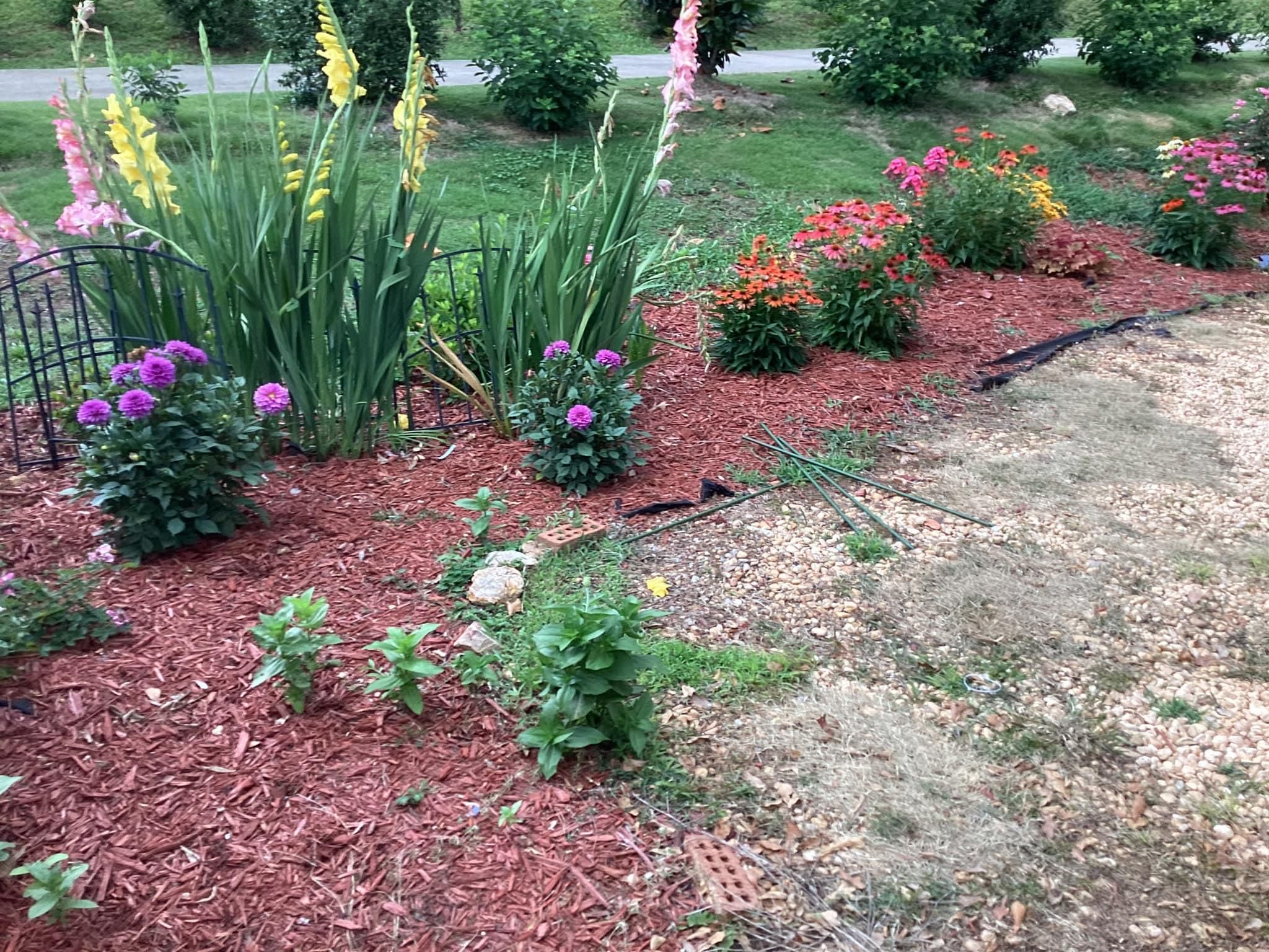  for Xtreme Landscaping & Lawn Care in Lincoln, AL