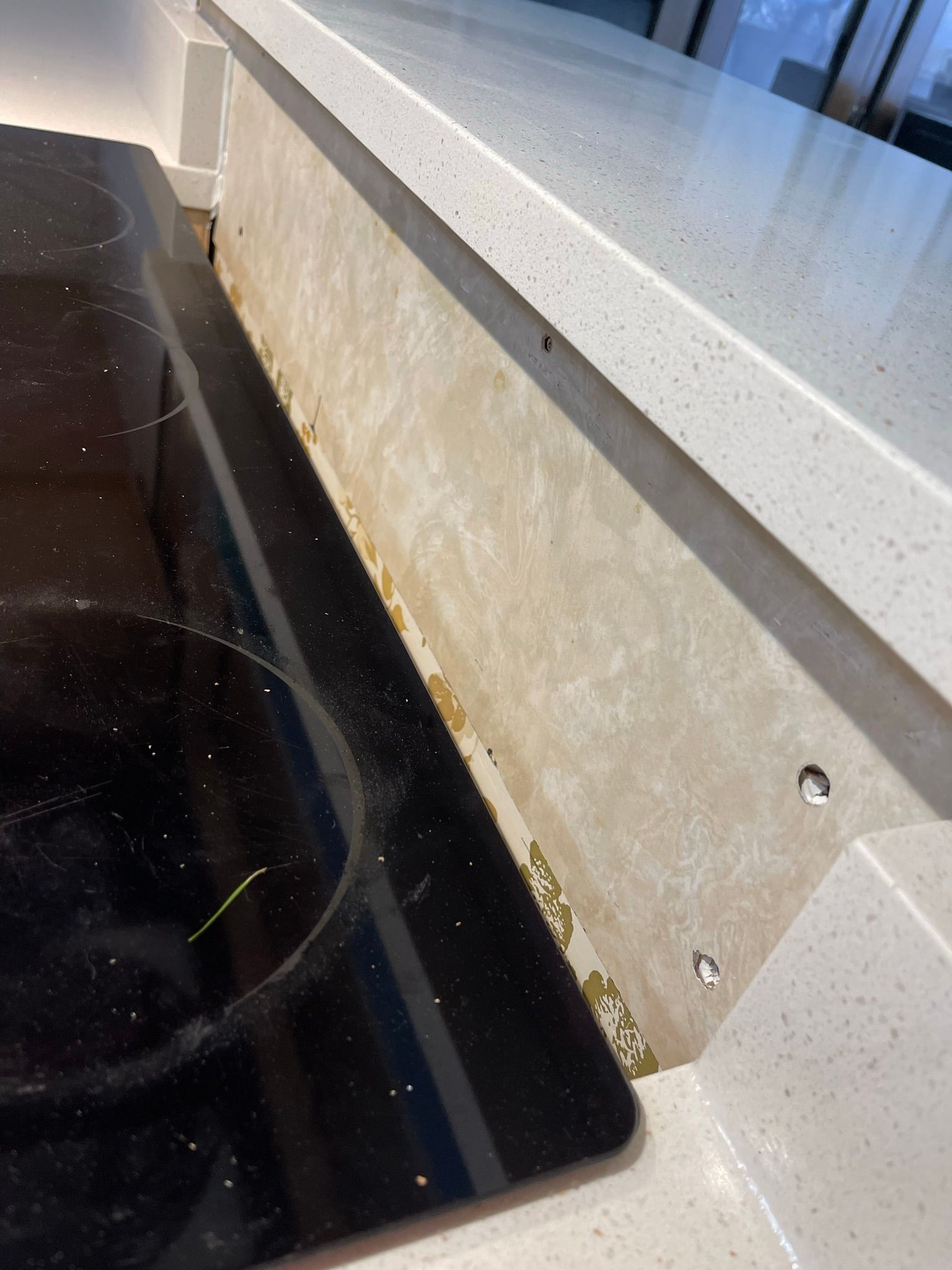  for Tony's Remodeling & Painting in Renton, WA