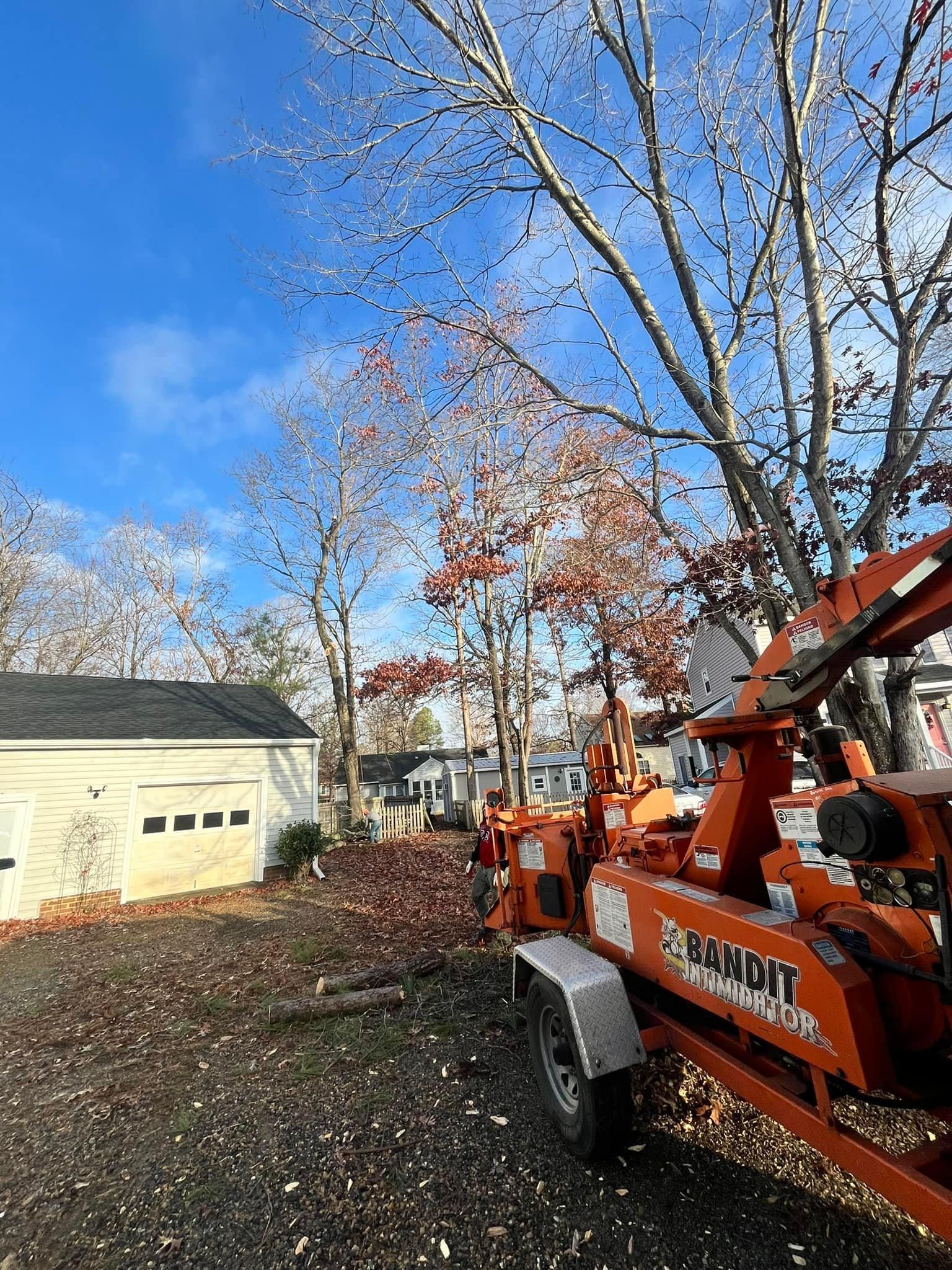  for Ricky's Tree Service & Property Care in Orange, VA