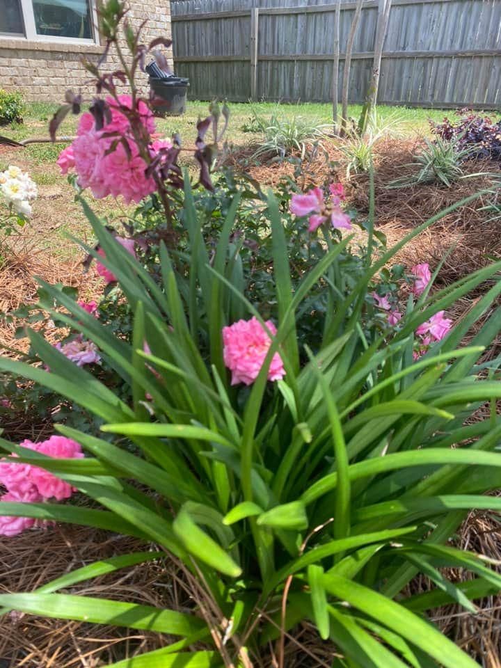  for Grasshopper's Lawn and Landscape in Fairhope, AL