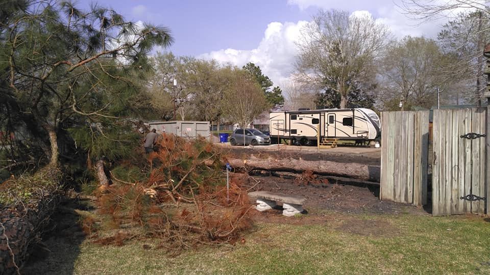 All Photos for Big Thicket Land Clearing in Kountze, TX