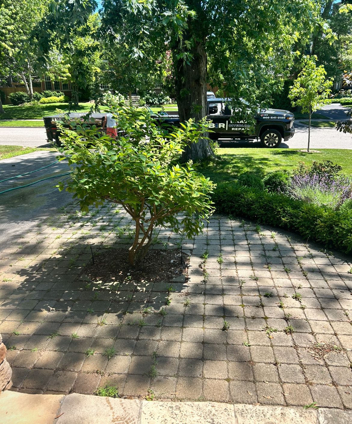  for Bravo Interlock Repairs in Burlington , ON