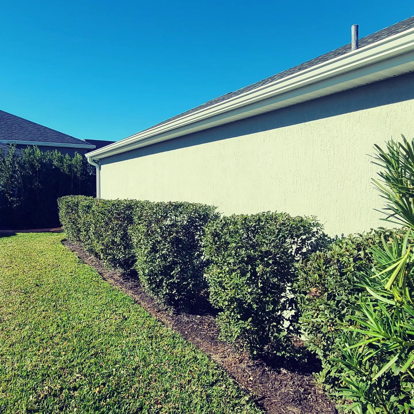  for TopNotch Landscaping Services  in The Villages, FL