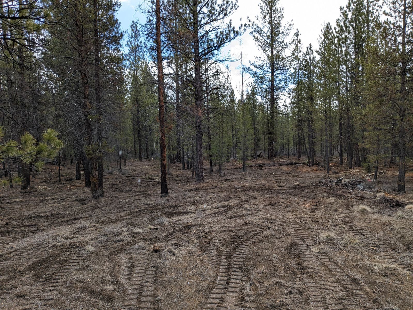 All Photos for Bailey's Cutting LLC in Bend, Oregon