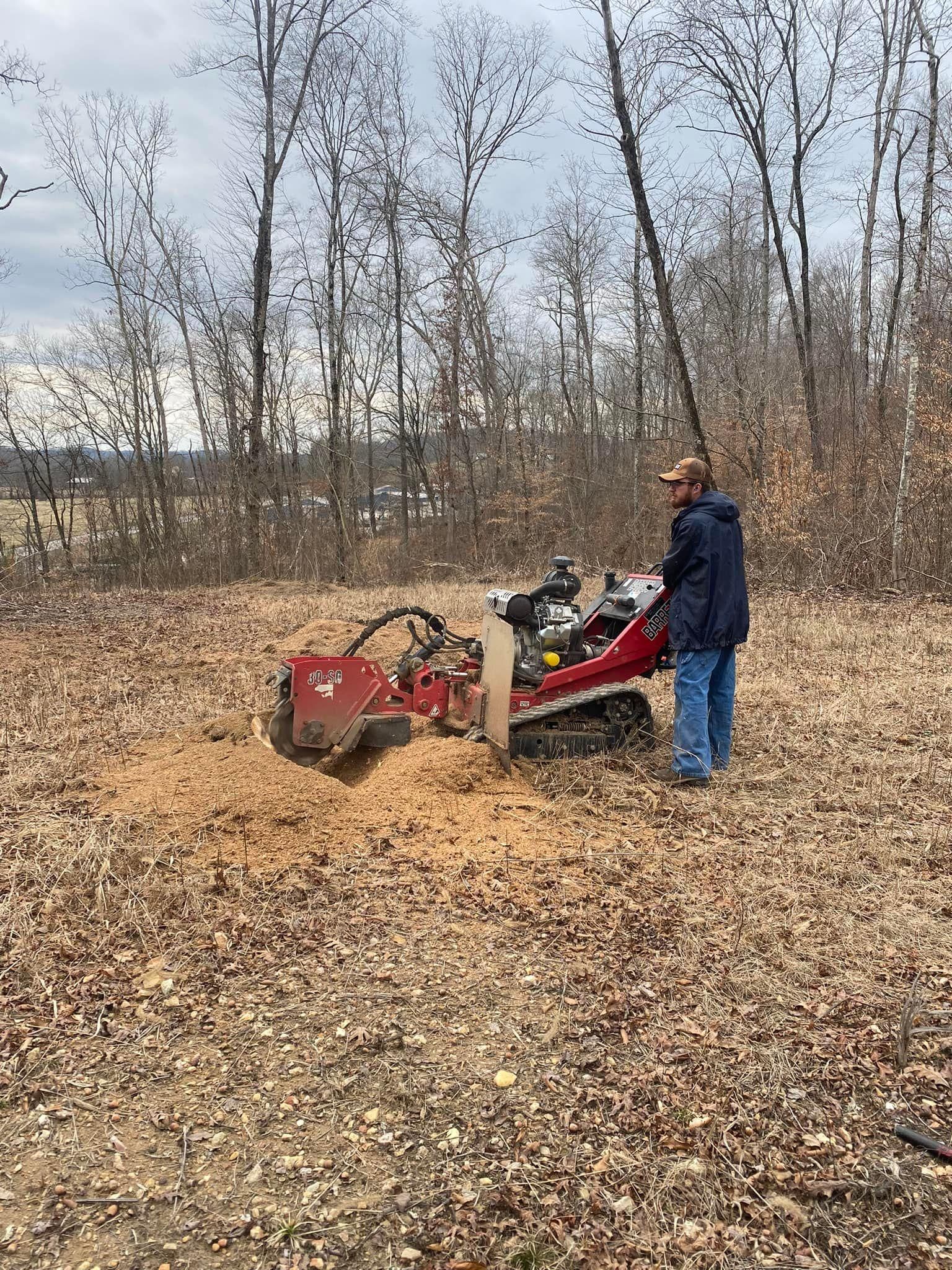 Fall and Spring Clean Up for Atwood’s Tree Care in Liberty,  KY