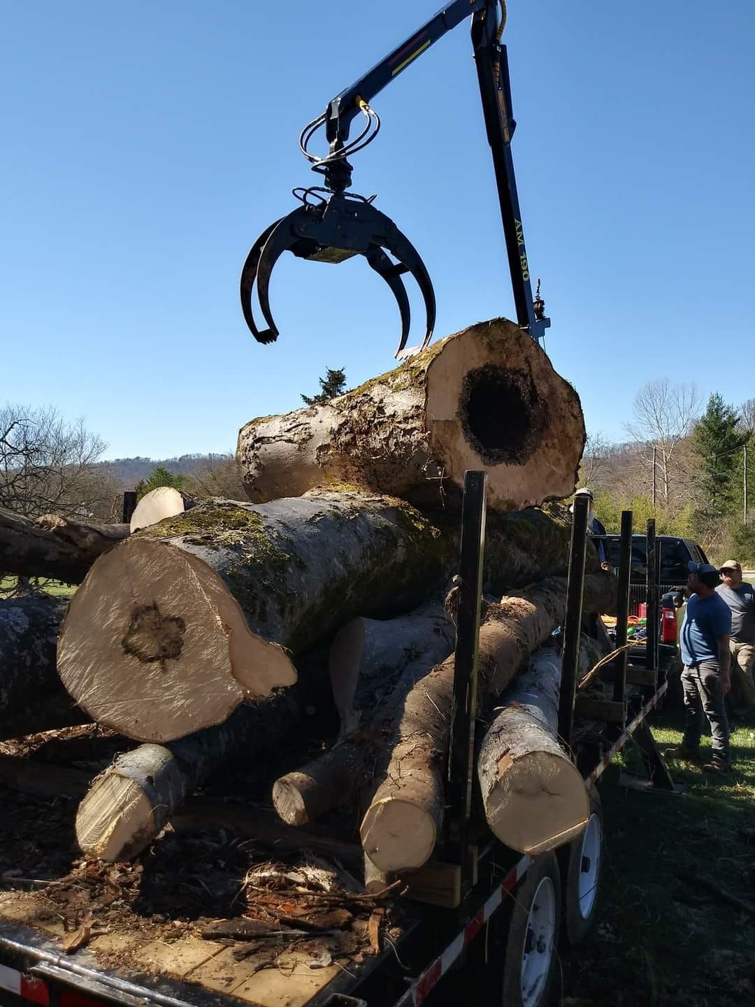  for Reagan & Sons Tree Service in Dandridge, TN