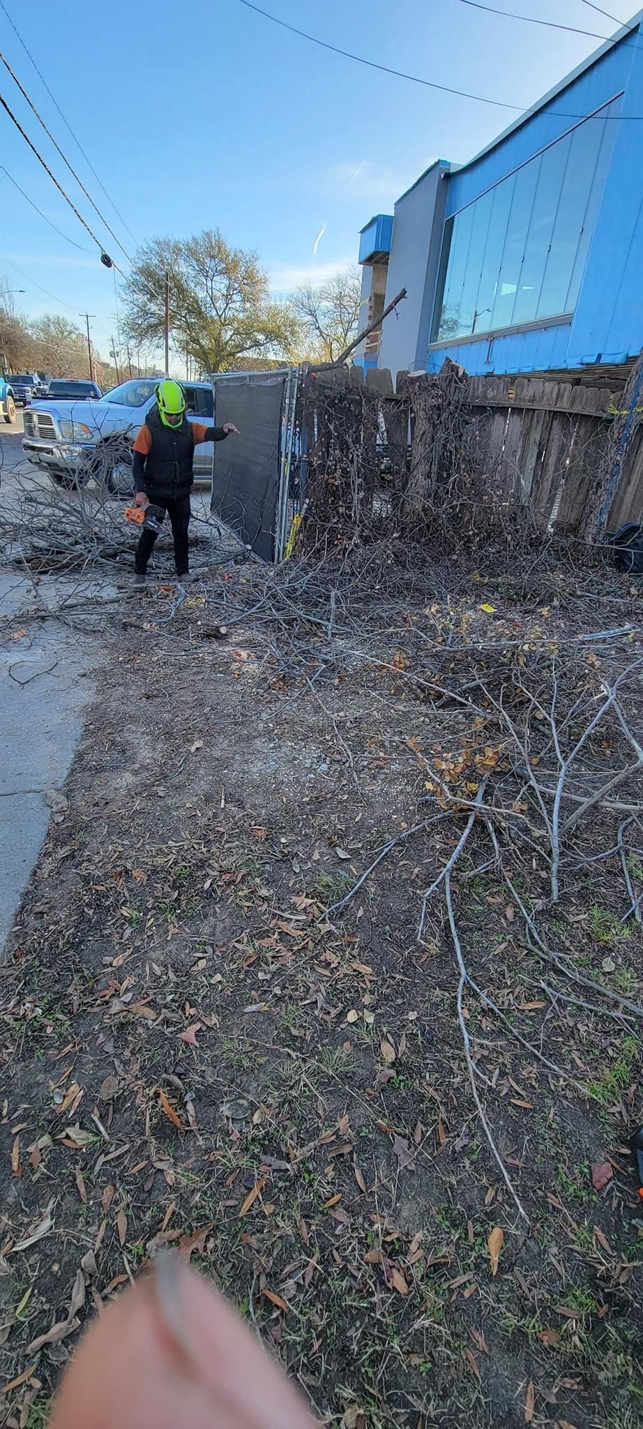  for Servin's Tree Care  in Houston, TX