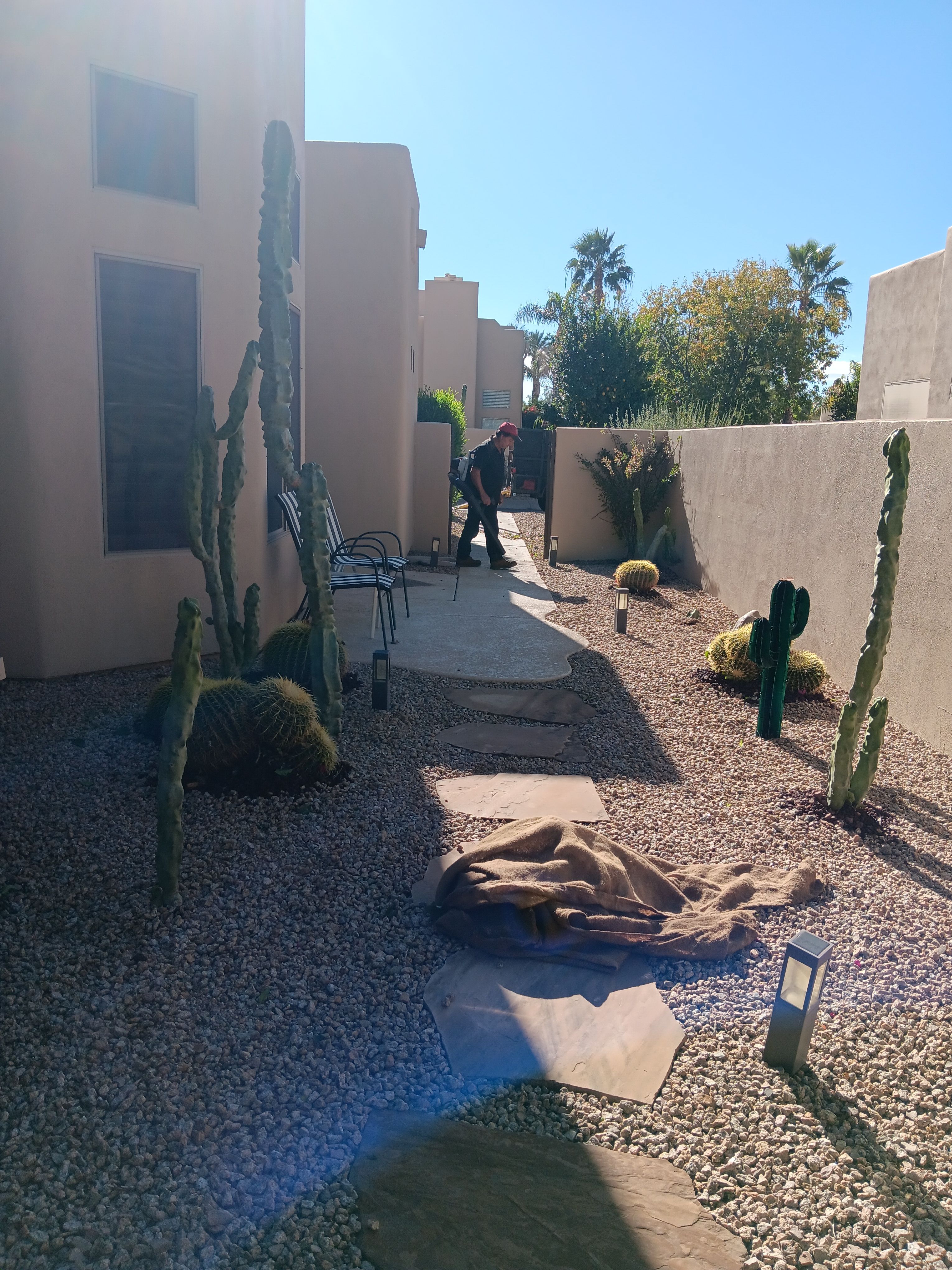 for Family Landscaping in Phoenix, AZ