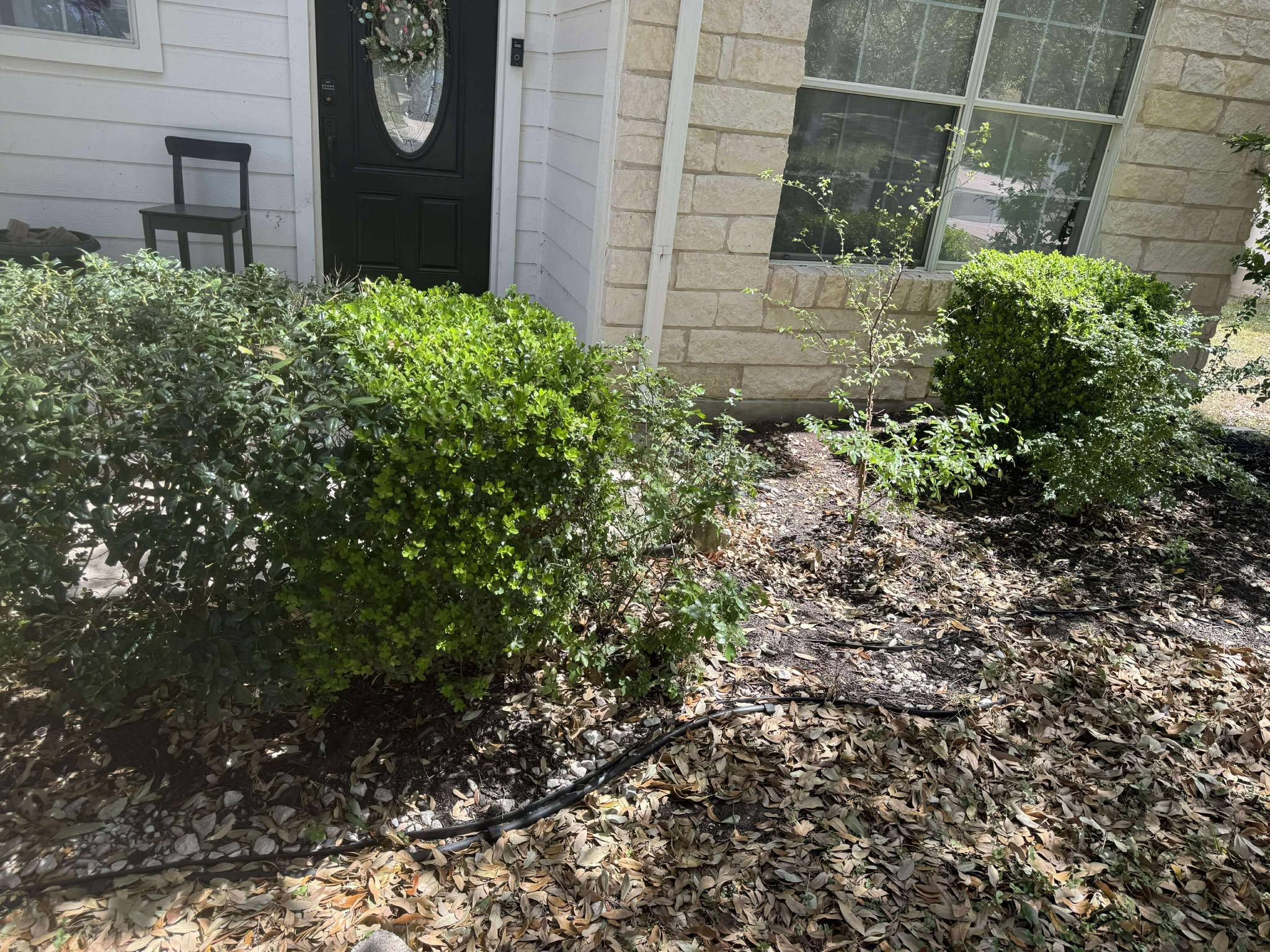 All Photos for Fresh Yards Landscaping in Austin, Texas