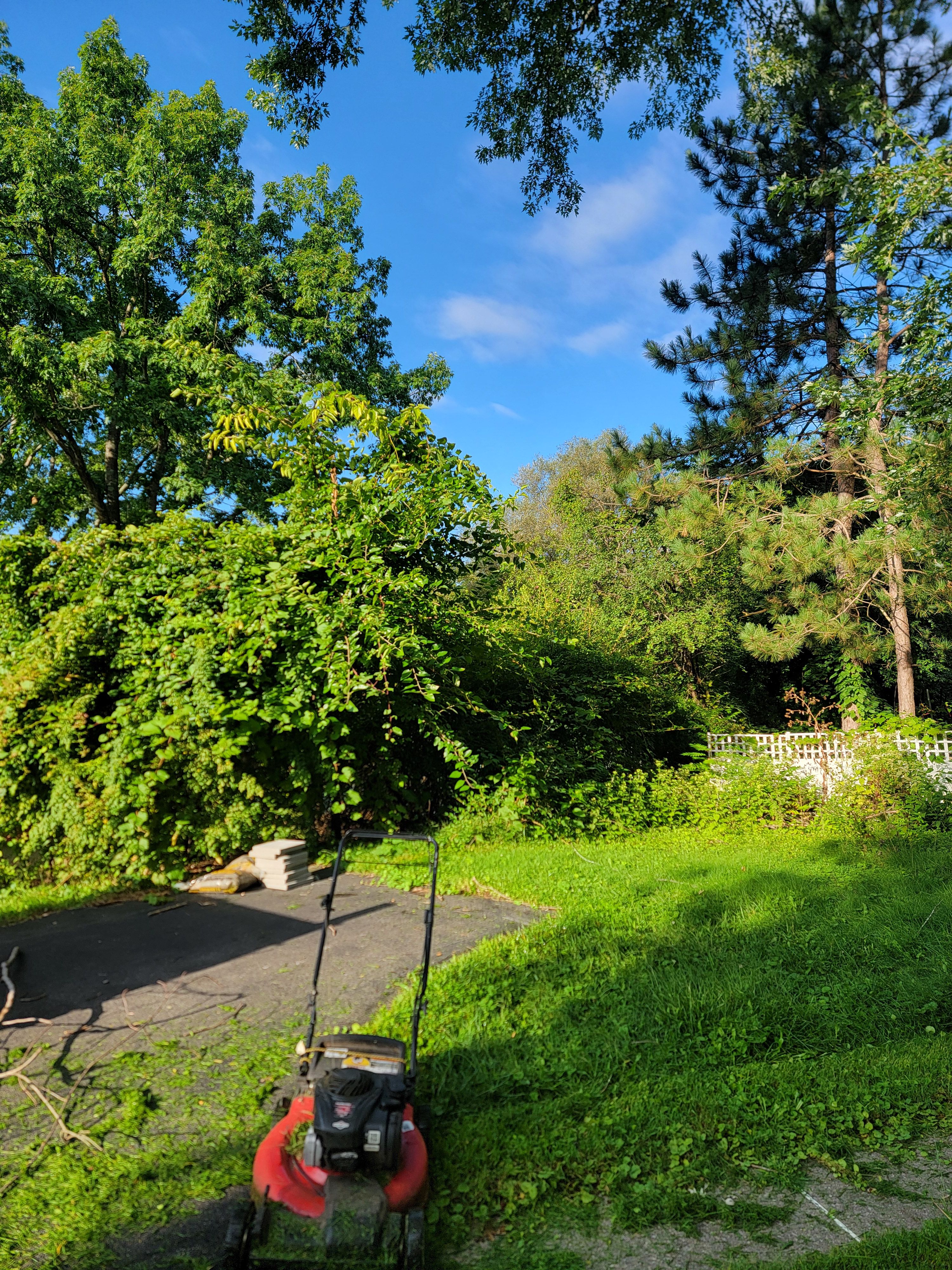  for Sweet Scapes in Ballston Spa, NY