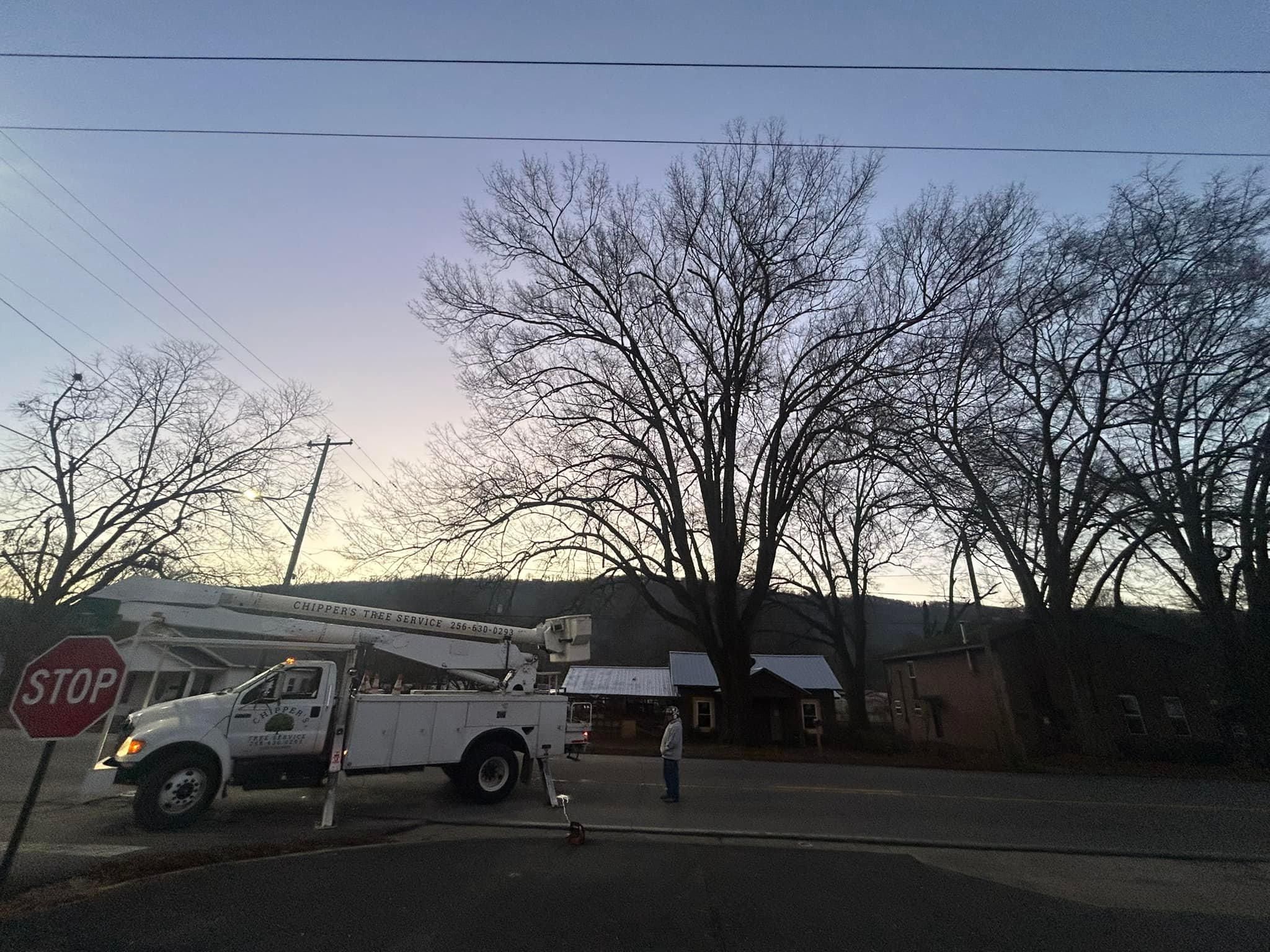 for Chipper's Tree Service  in Fort Payne, AL