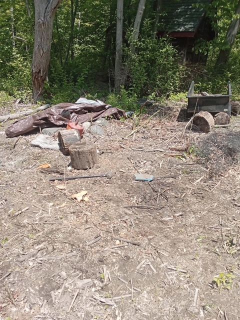 All Photos for QuickClear Junk Removal & Demolition in Poughkeepsie, NY