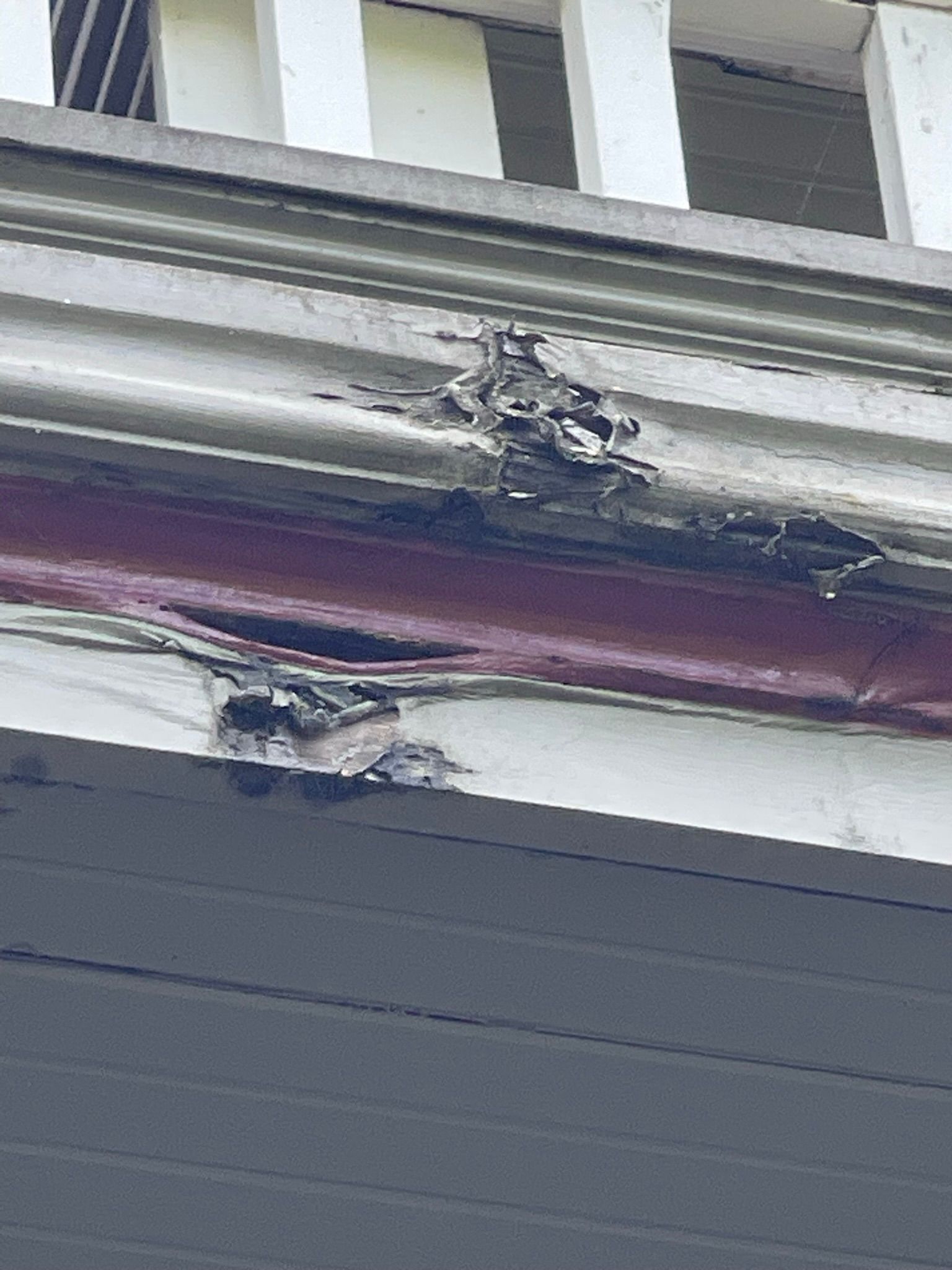  for Tony's Remodeling & Painting in Renton, WA