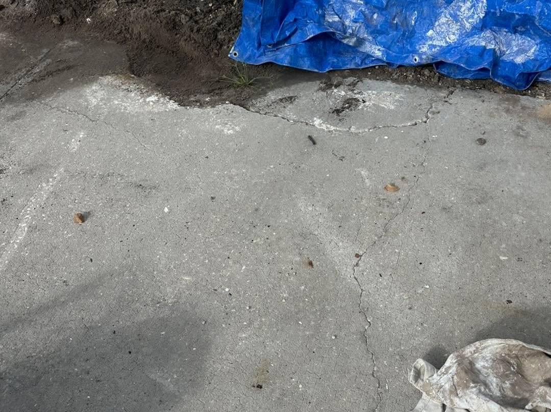 All Photos for Absolute Grey's LLC in Kissimmee, FL