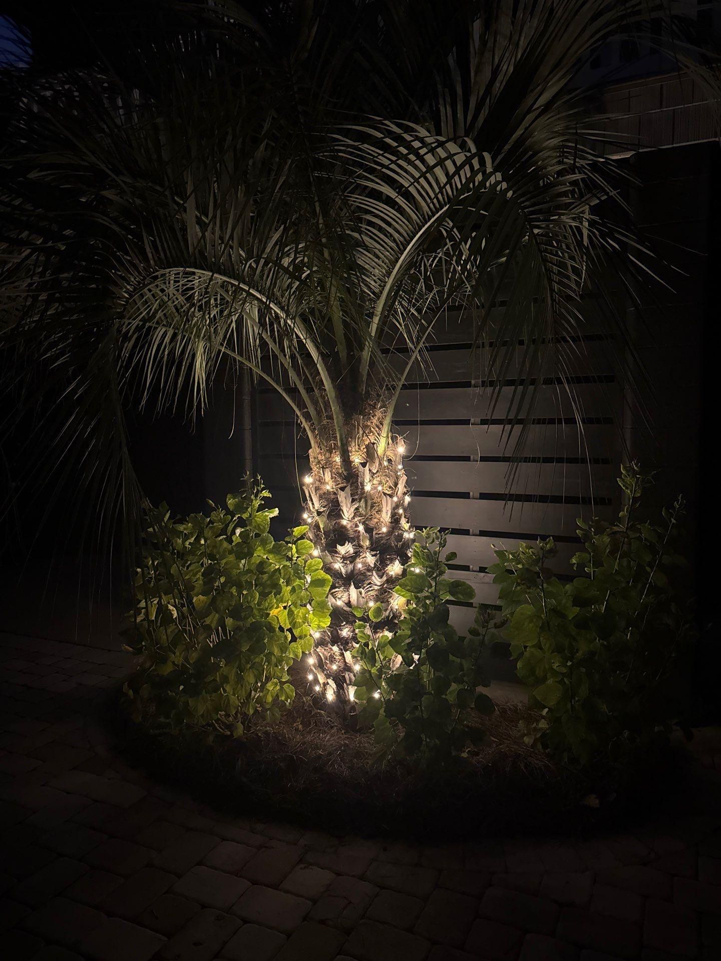  for Pawleys Island Concierge LLC in Pawleys Island, SC